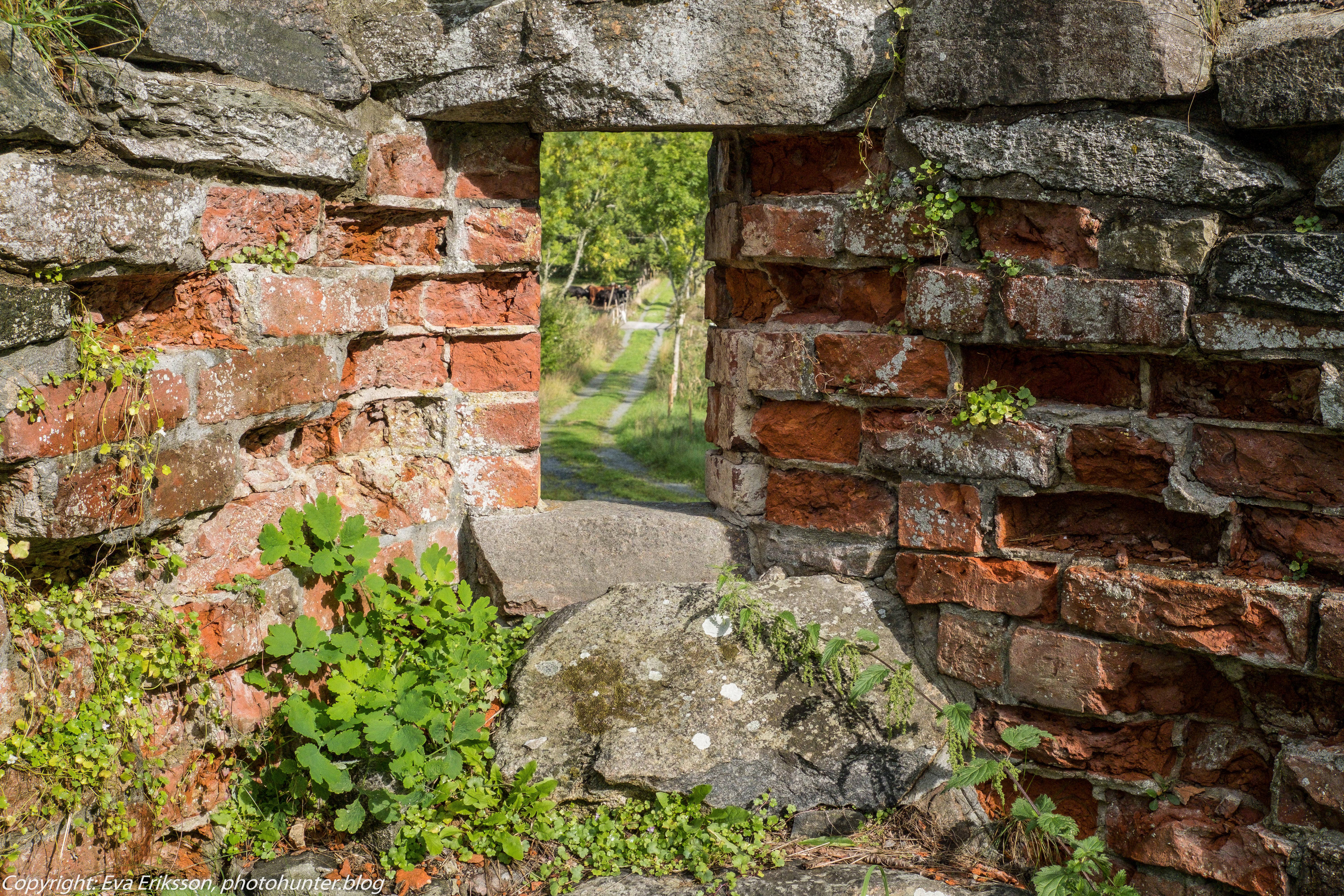 07092019-07092019-DSCF0397