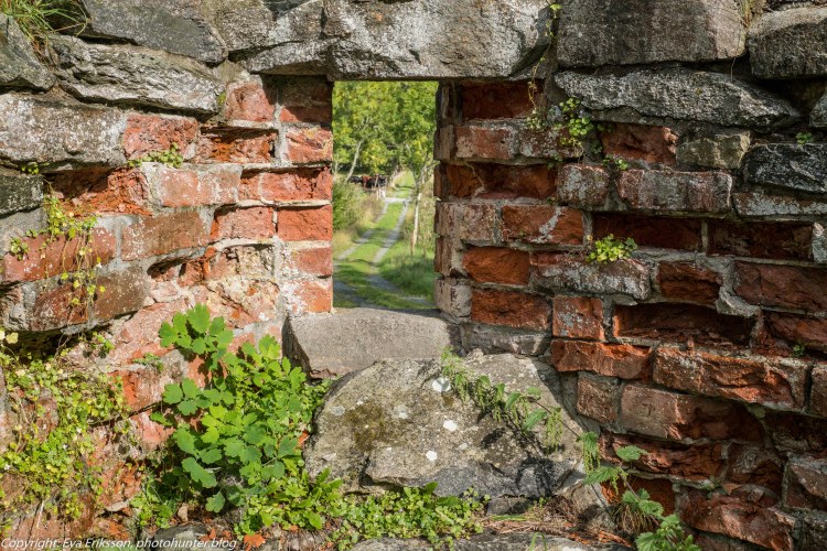 07092019-07092019-DSCF0397