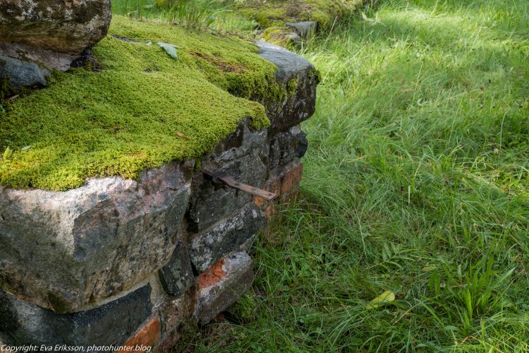 07092019-07092019-DSCF0426