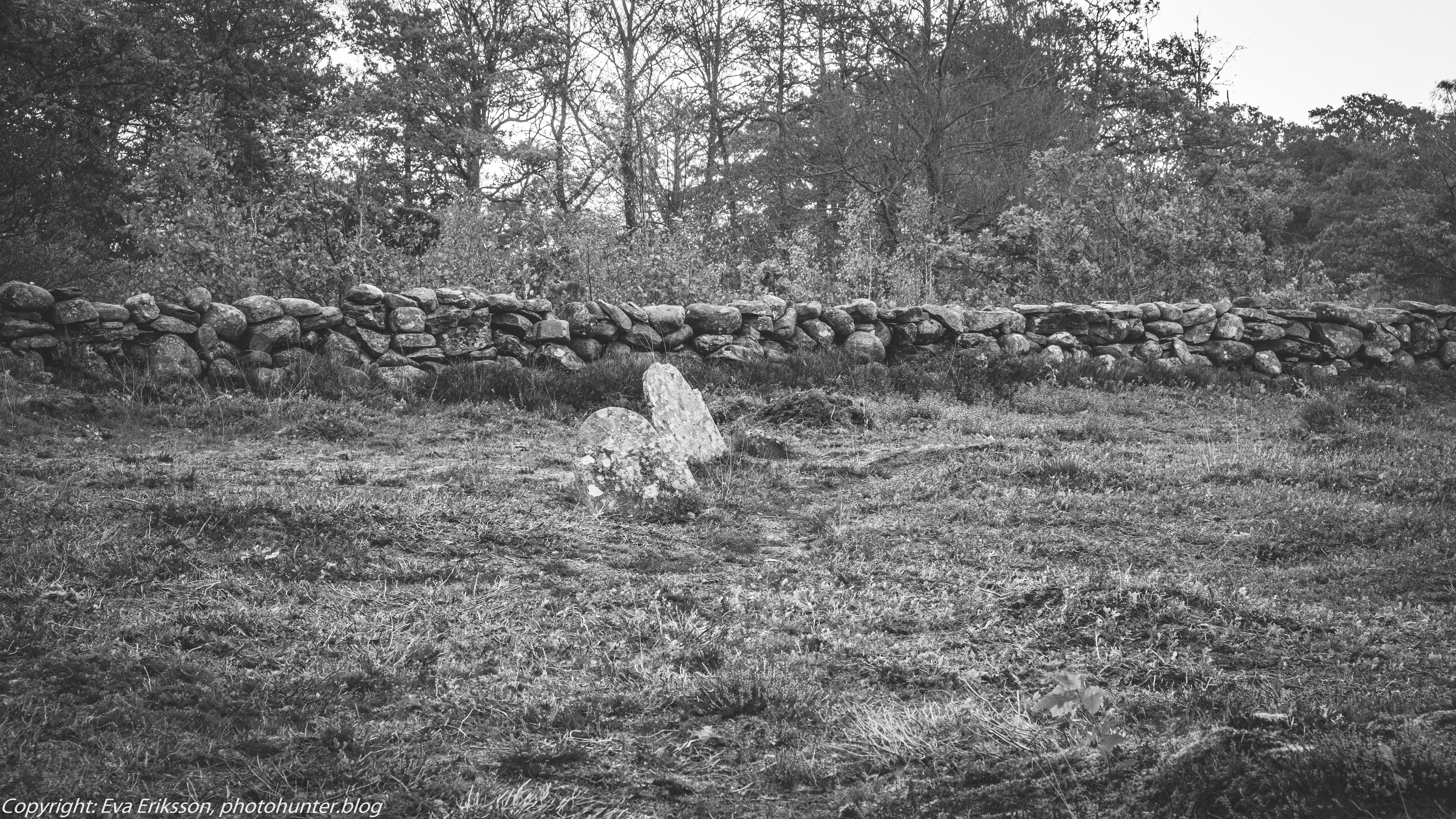 09102019-Fjärås kolerakyrkogård-14