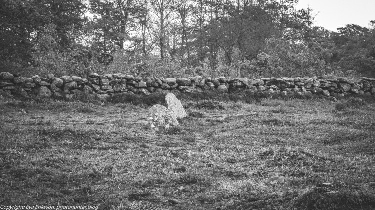 09102019-Fjärås kolerakyrkogård-14