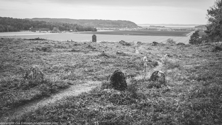 09102019-Fjärås kolerakyrkogård-3