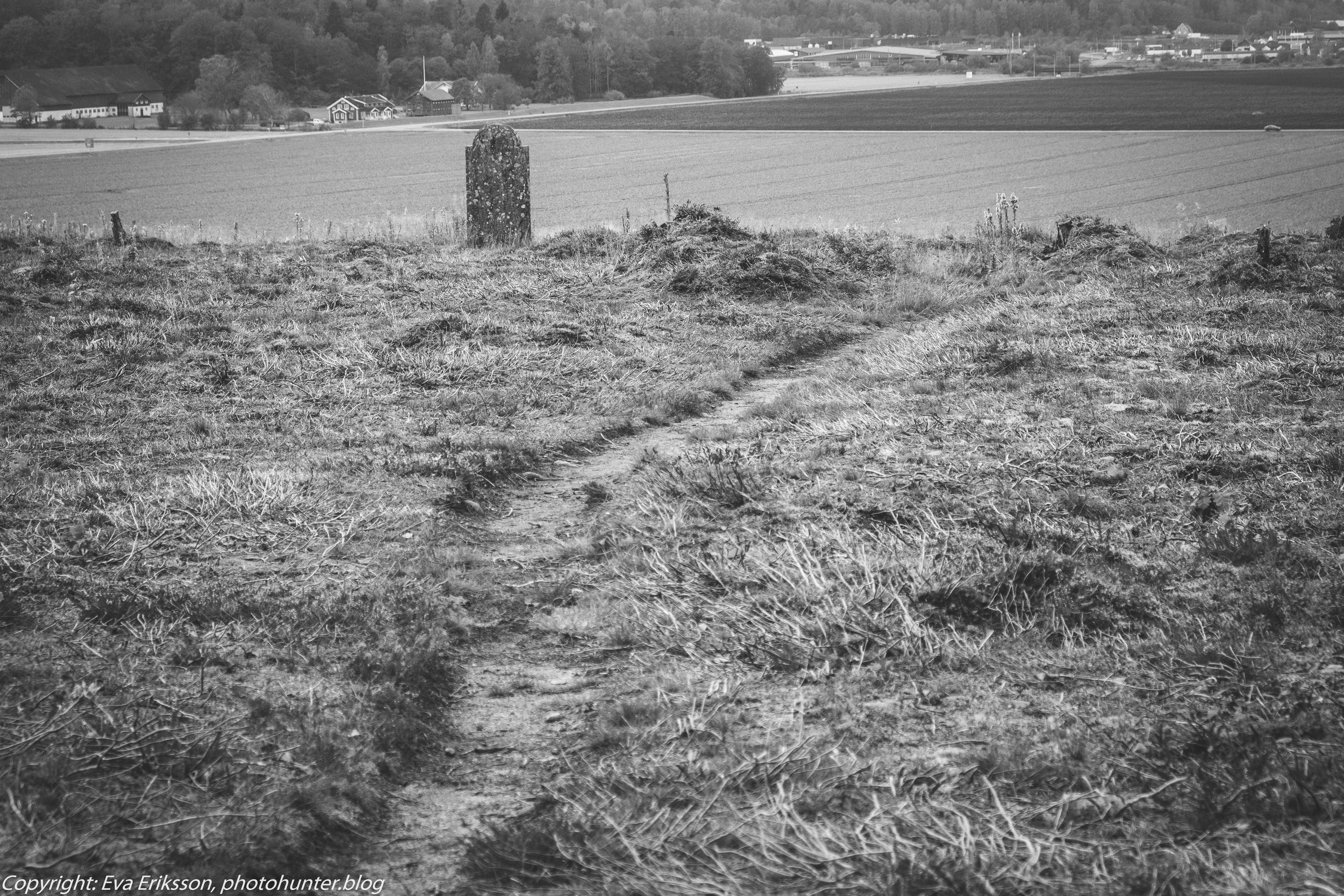 09102019-Fjärås kolerakyrkogård-4