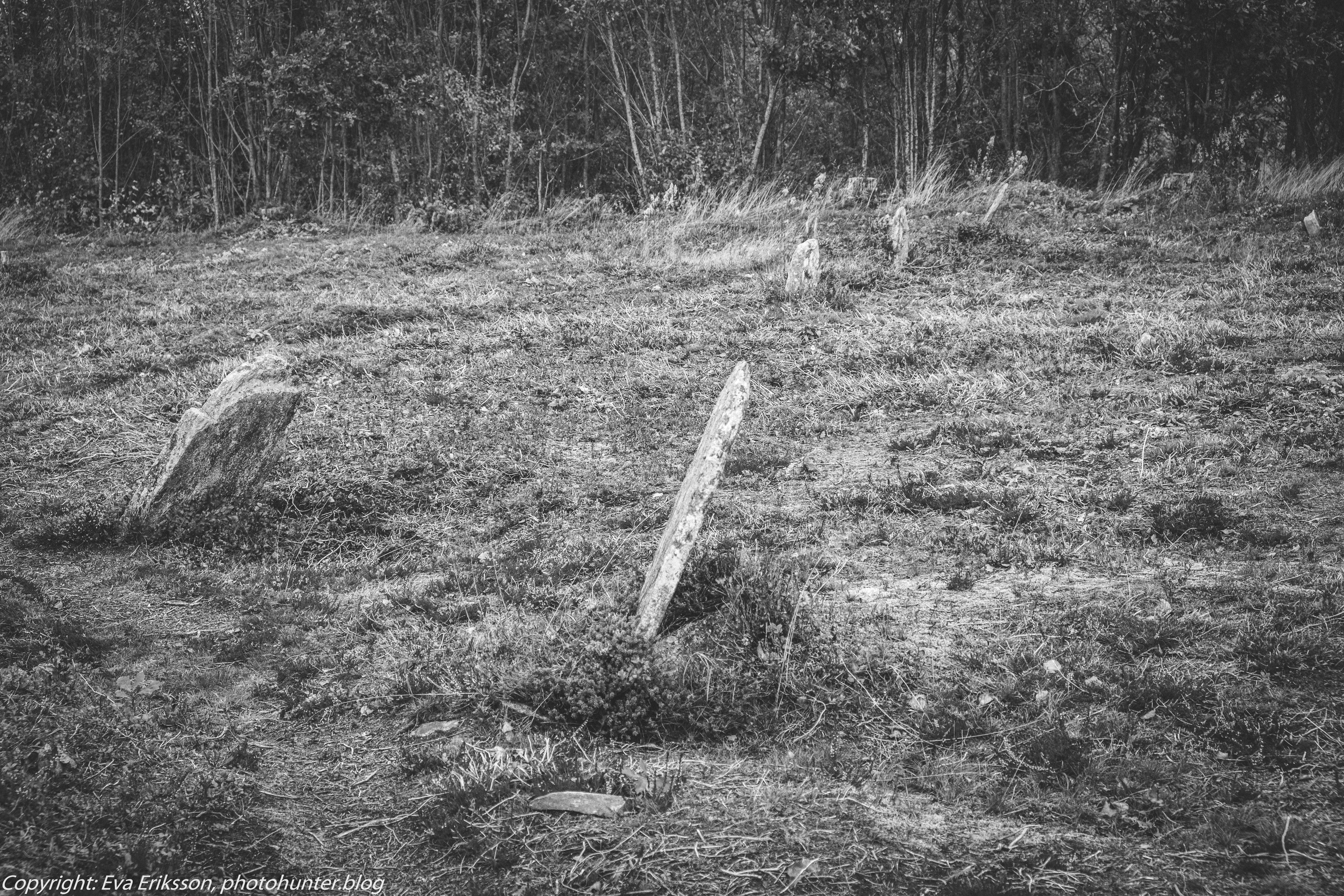 09102019-Fjärås kolerakyrkogård-9