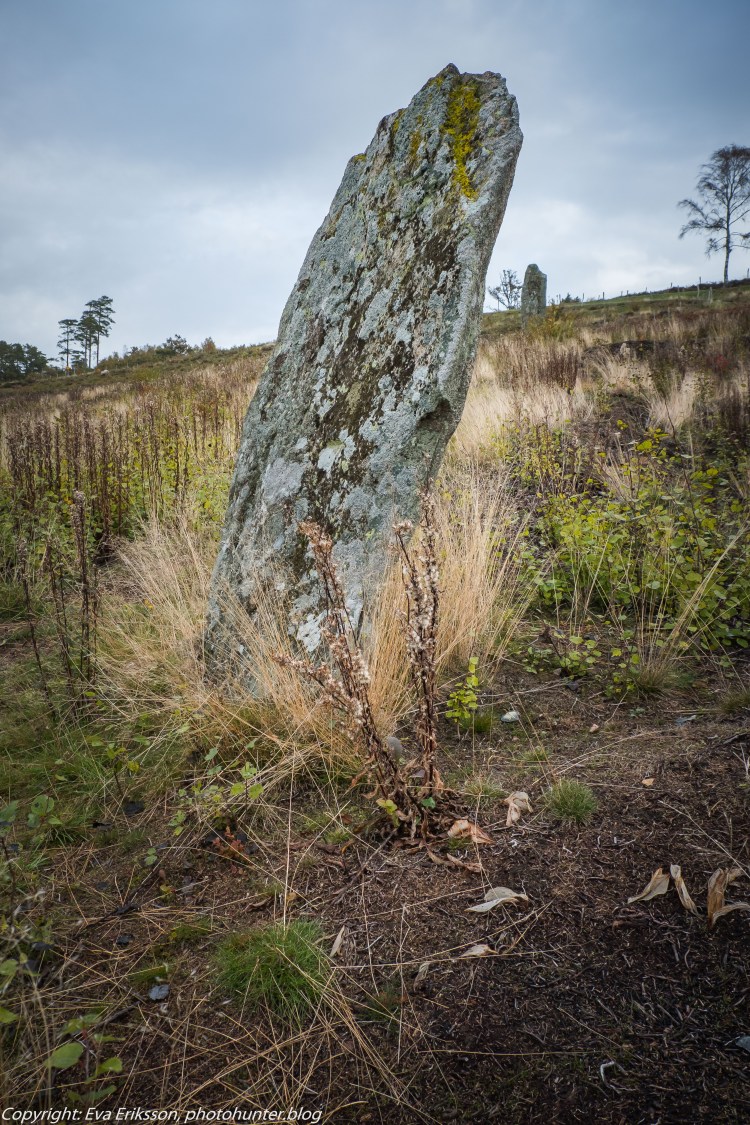 09102019-Li bautastensgravfält-10