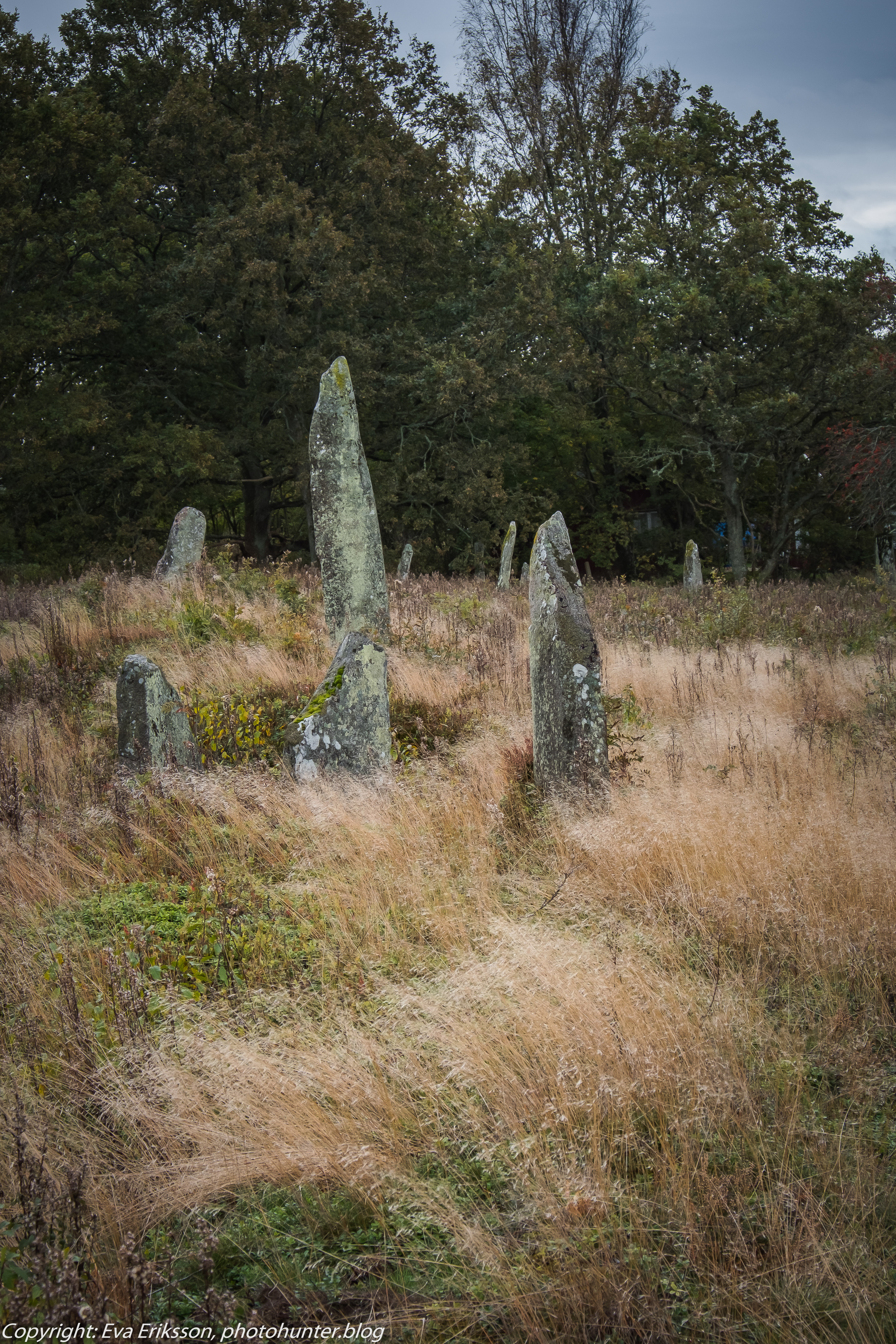 09102019-Li bautastensgravfält-12