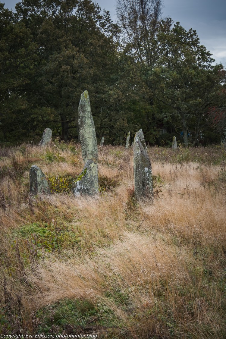 09102019-Li bautastensgravfält-12