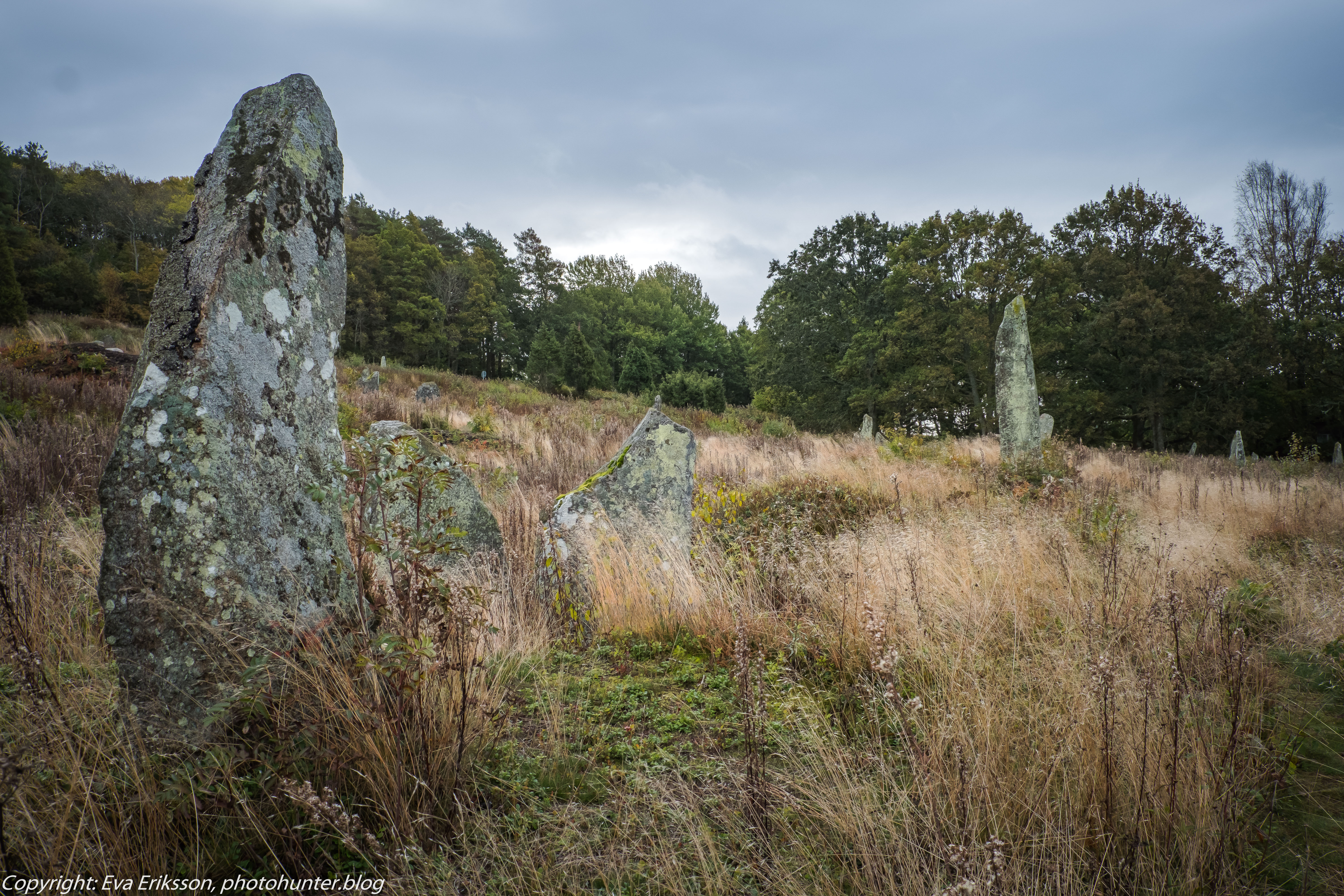 09102019-Li bautastensgravfält-13