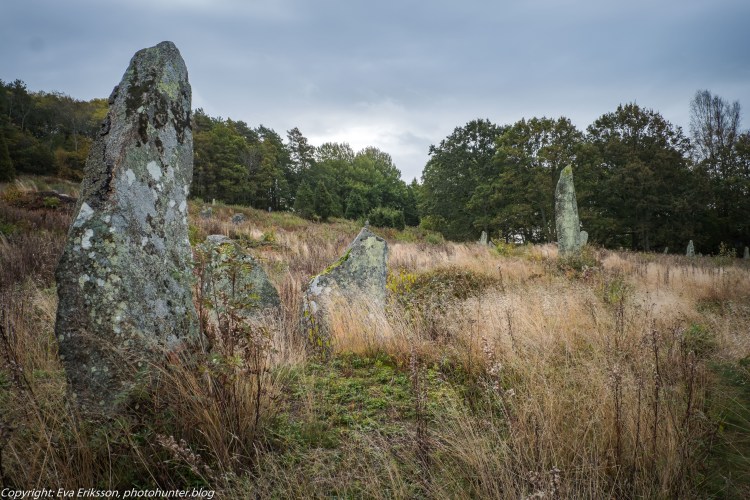 09102019-Li bautastensgravfält-13