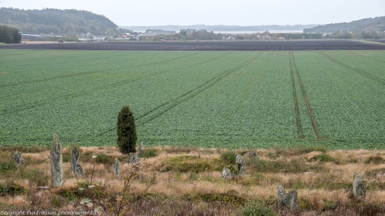 09102019-Li bautastensgravfält-20