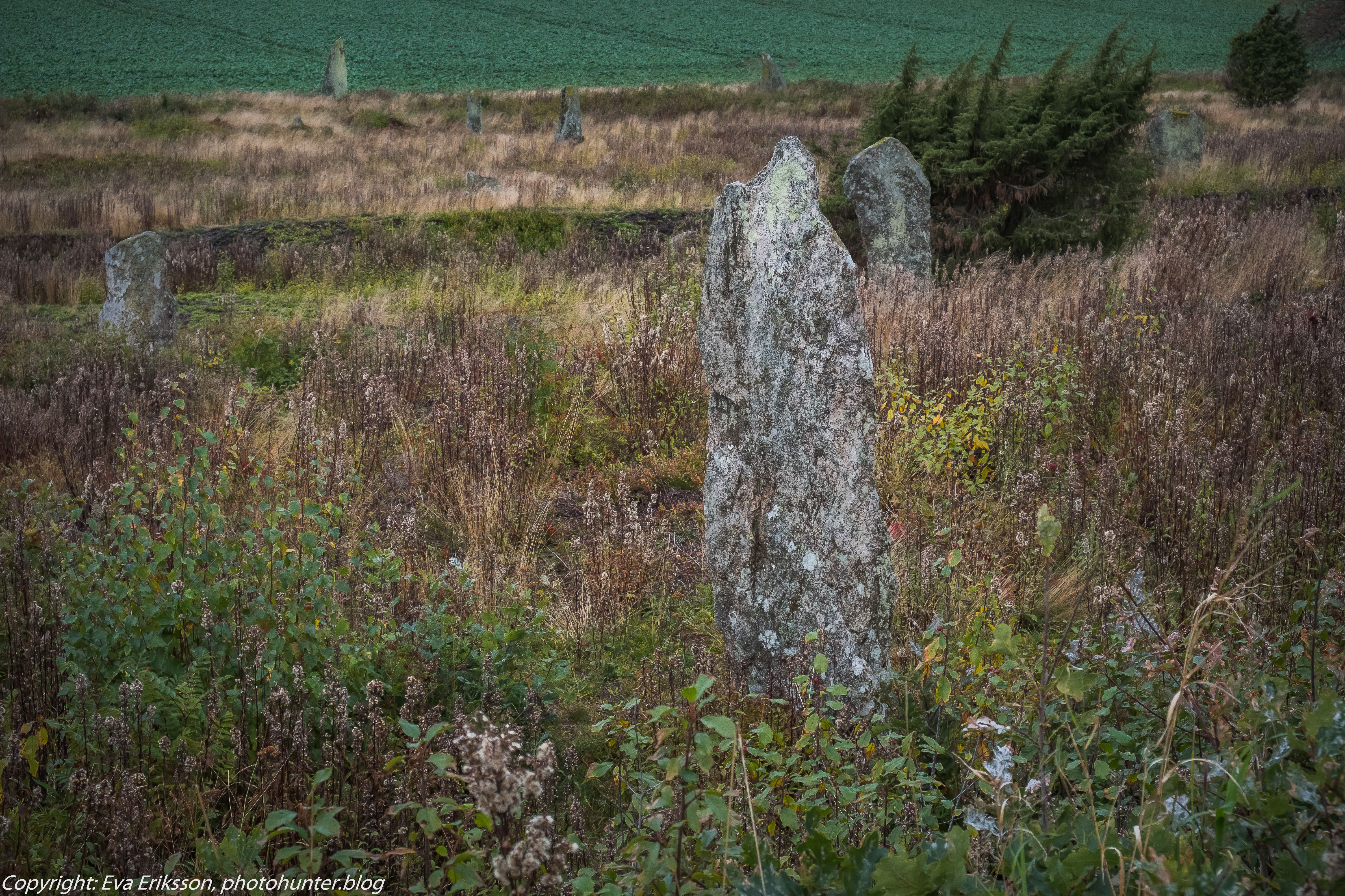 09102019-Li bautastensgravfält-24