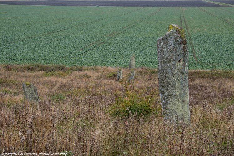 09102019-Li bautastensgravfält-3