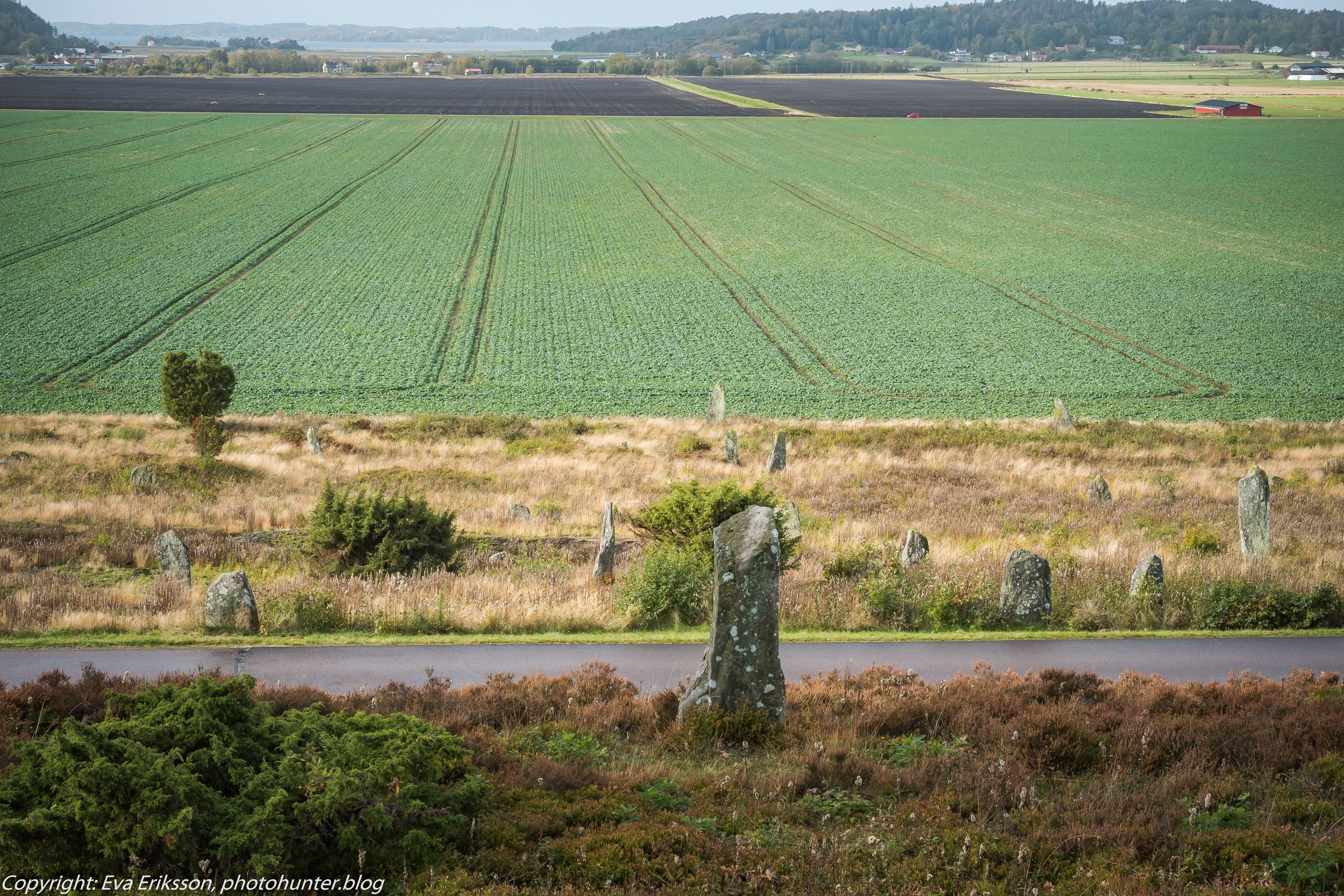 09102019-Li bautastensgravfält-30
