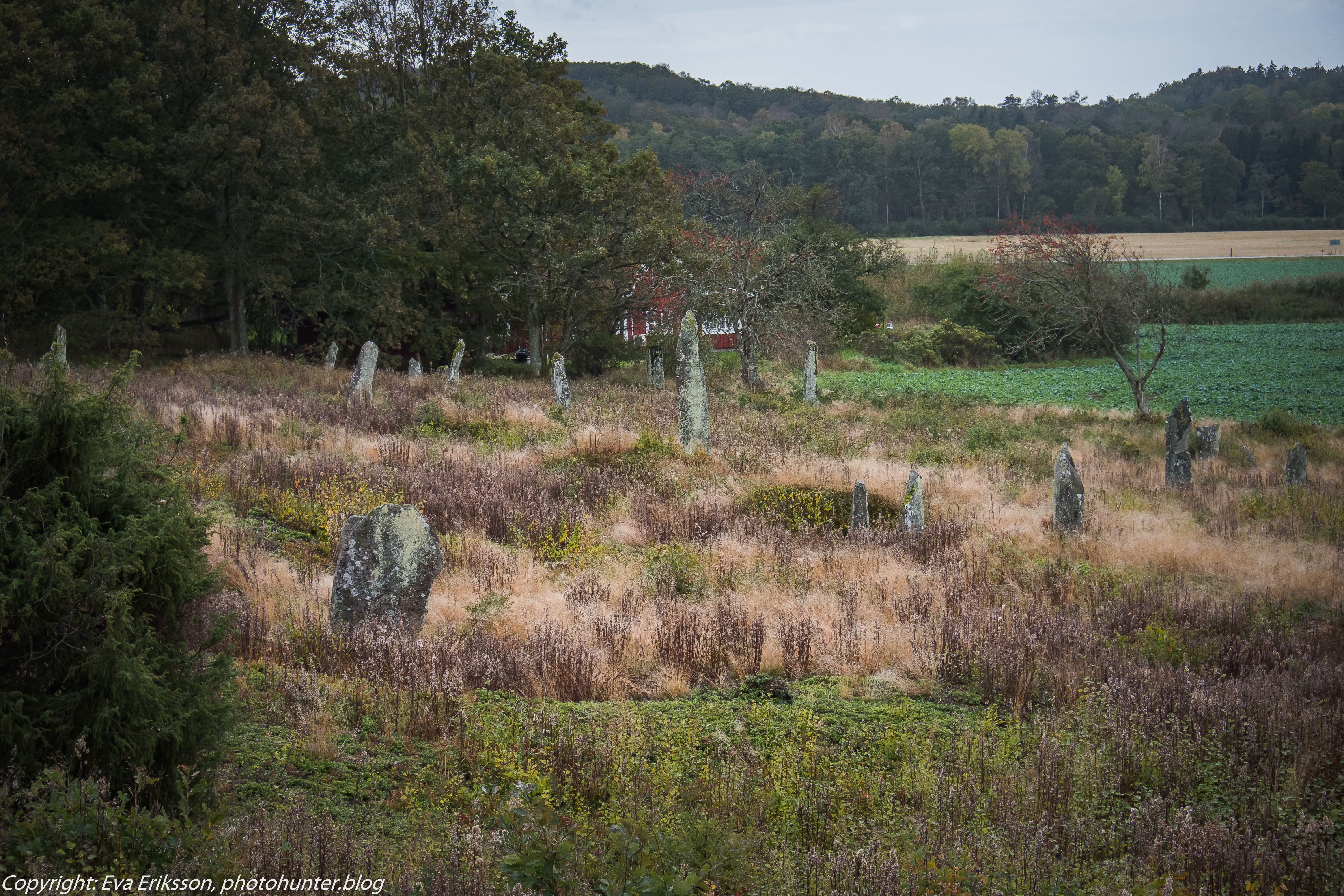 09102019-Li bautastensgravfält-7