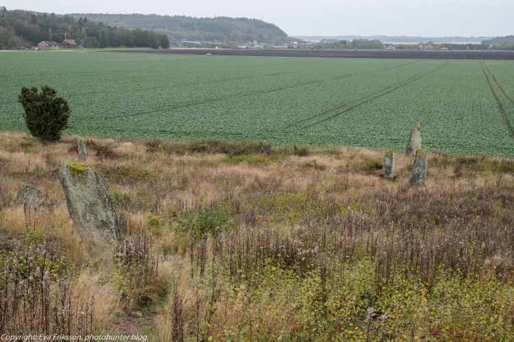 09102019-Li bautastensgravfält-8