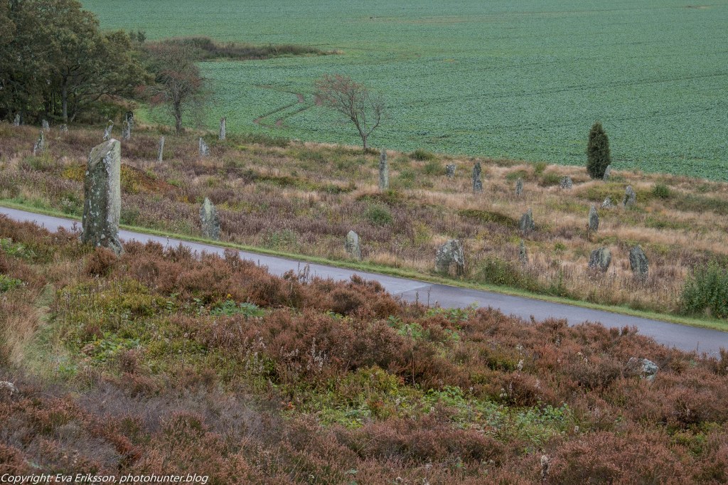Fjärås kolerakyrkogård och Li&nbsp;gravfält