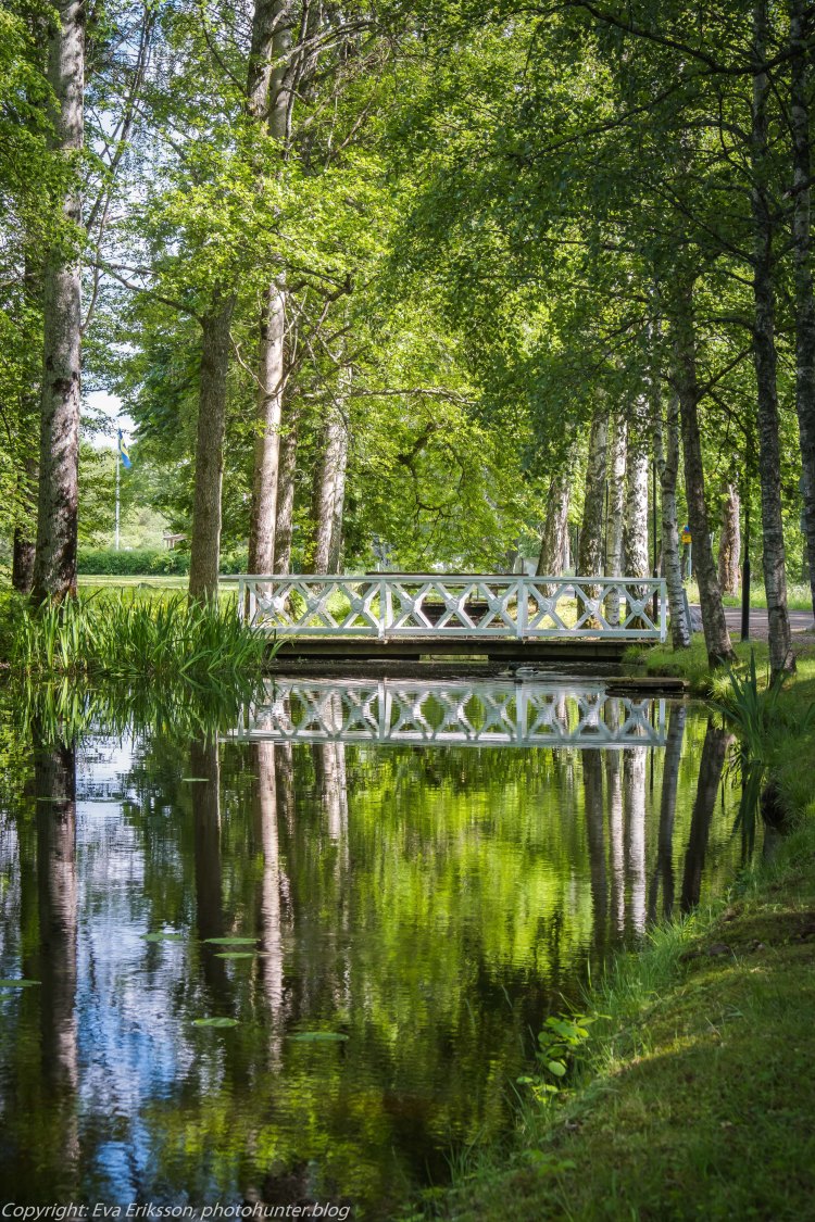 10062019-10062019-DSCF6728