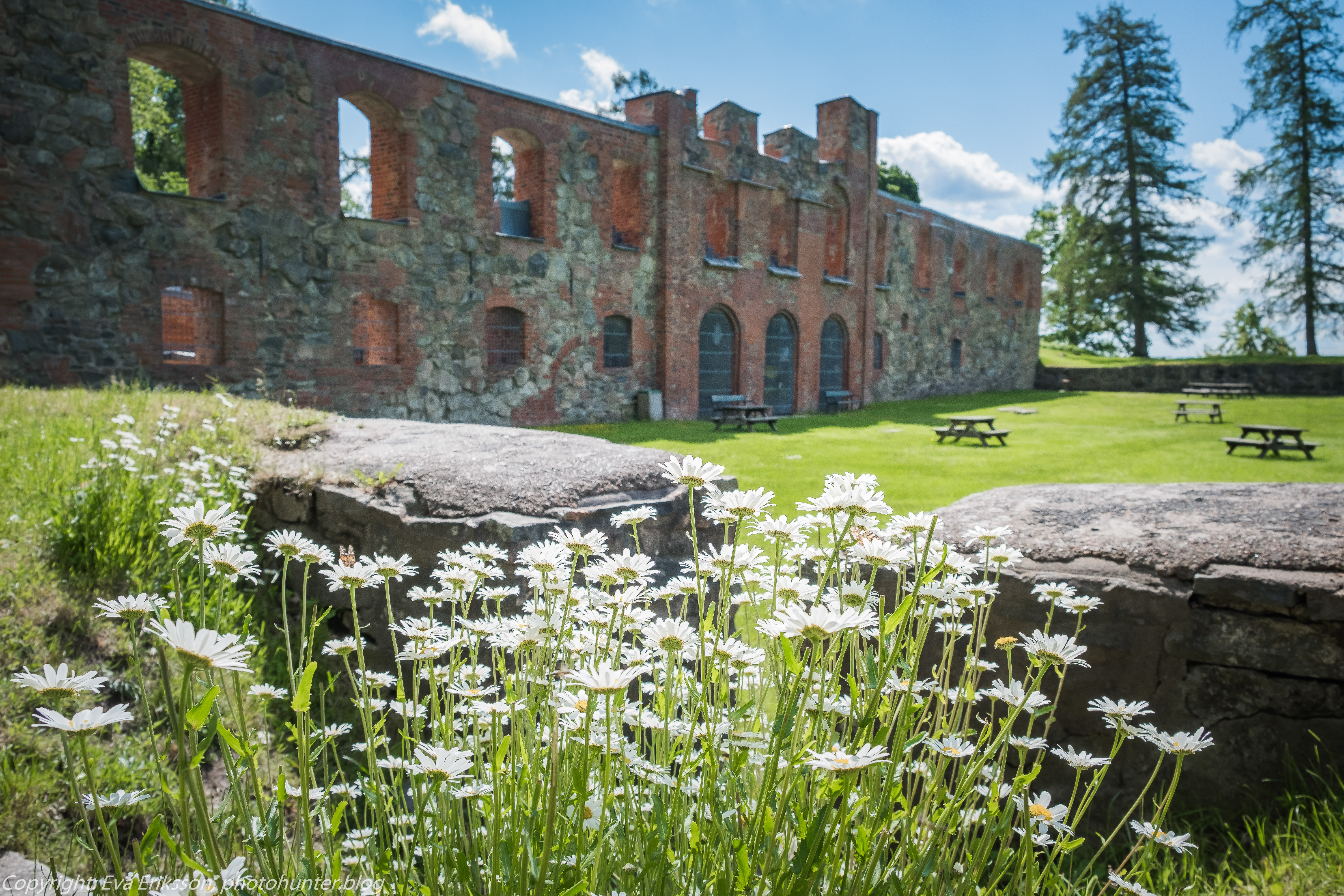 10062019-10062019-DSCF6785