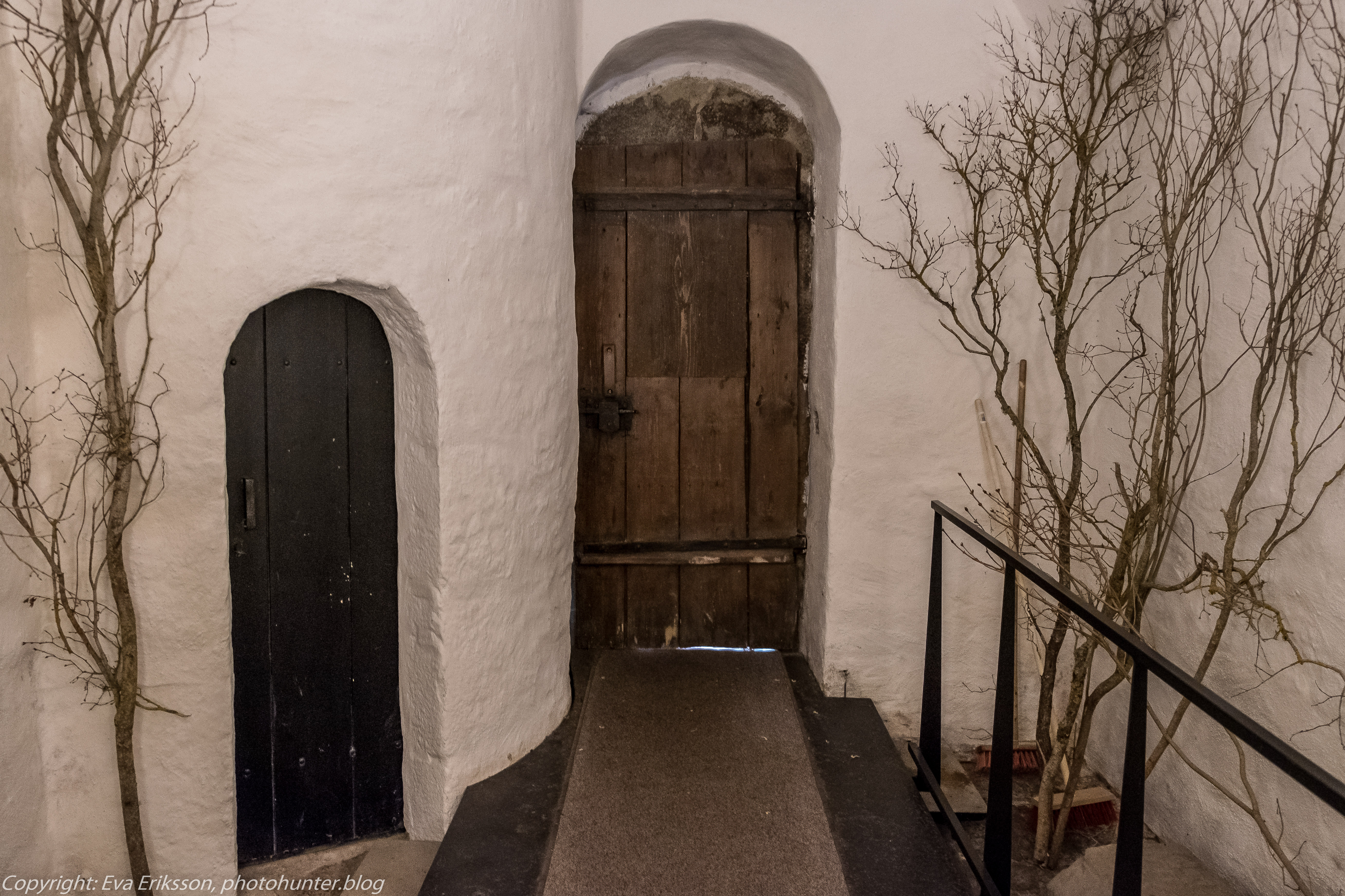 11082019-11082019-DSCF8578