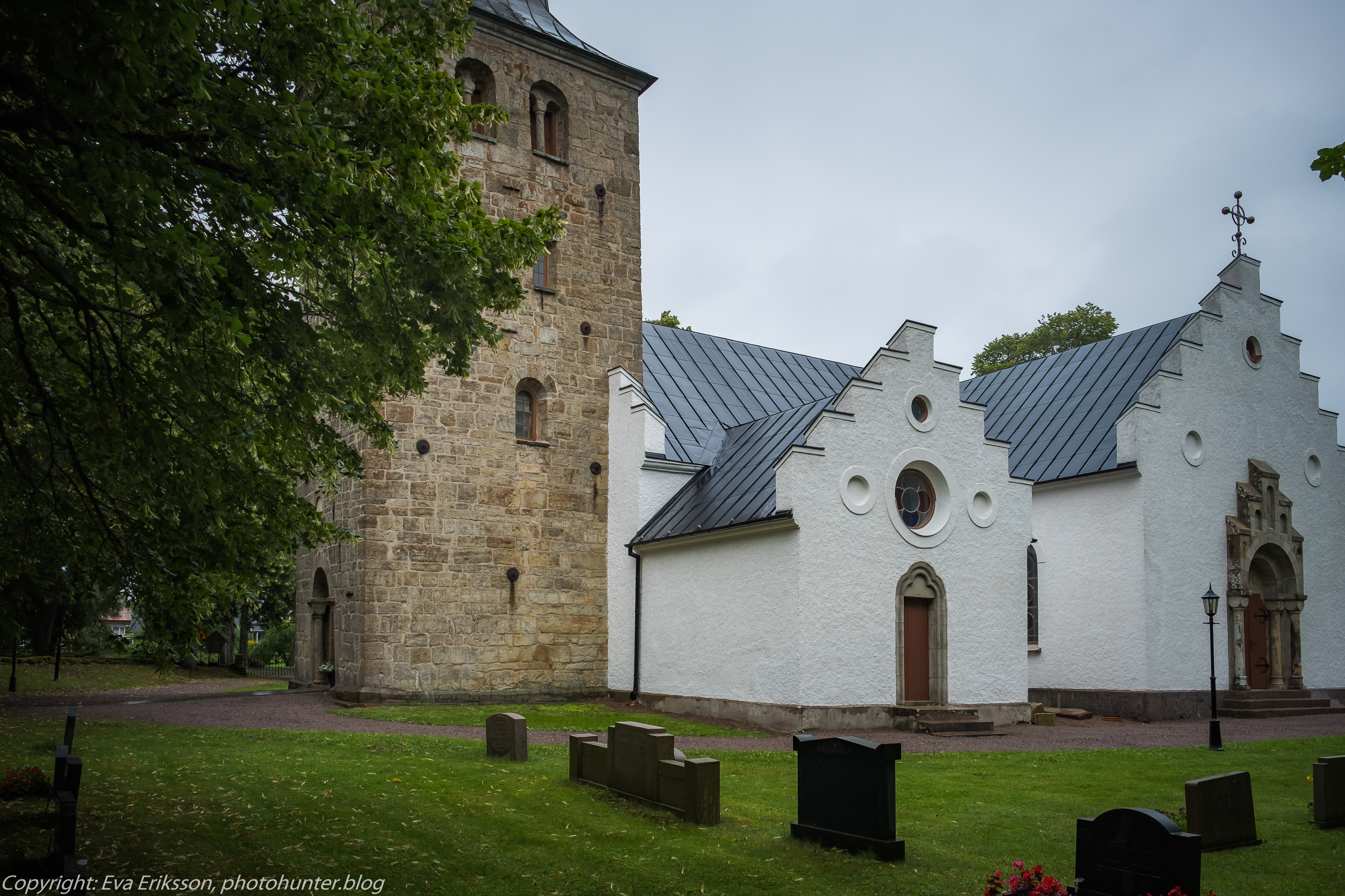 11082019-11082019-DSCF8615