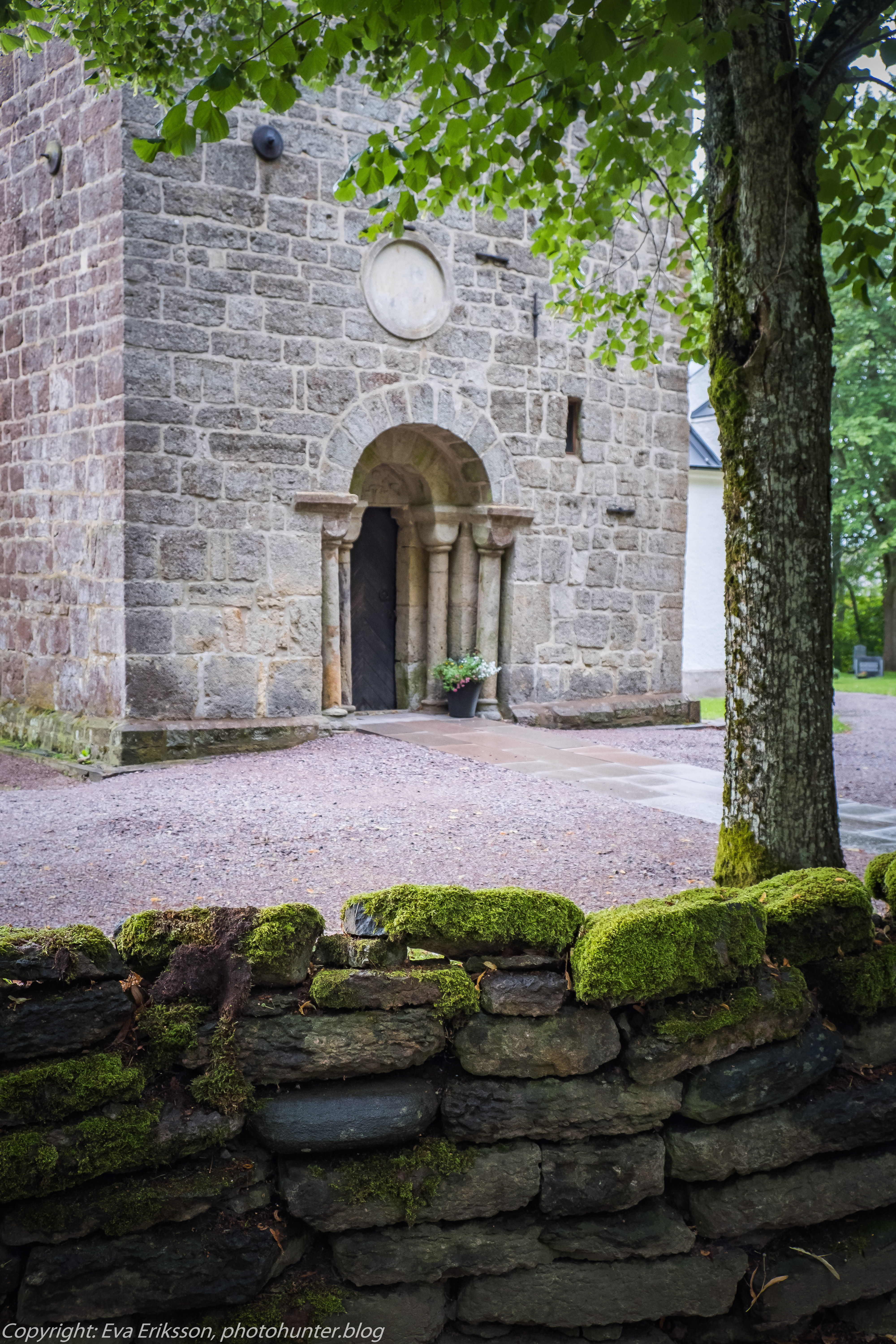 11082019-11082019-DSCF8663