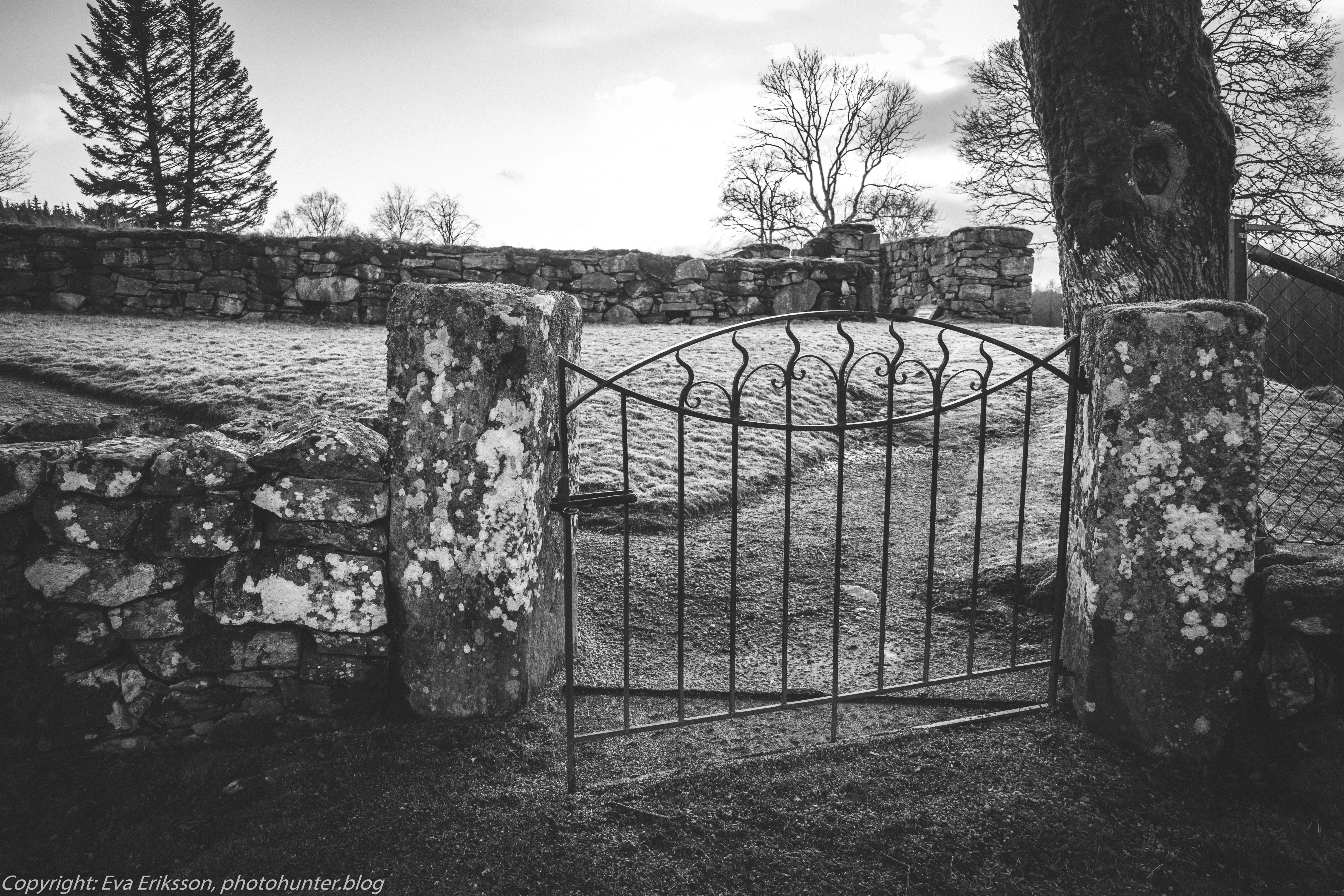 12022020-12022020-_DSF2201