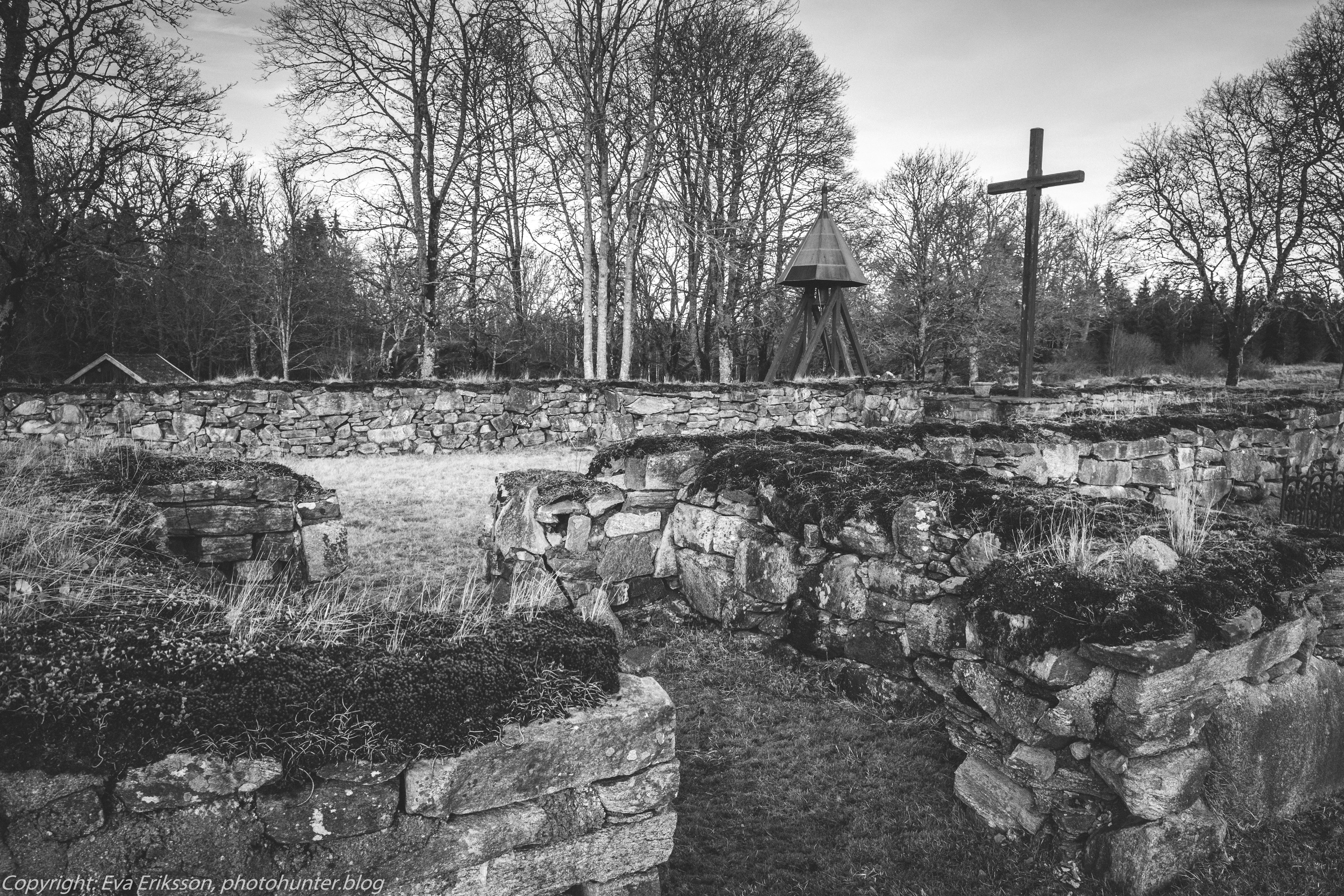 12022020-12022020-_DSF2223