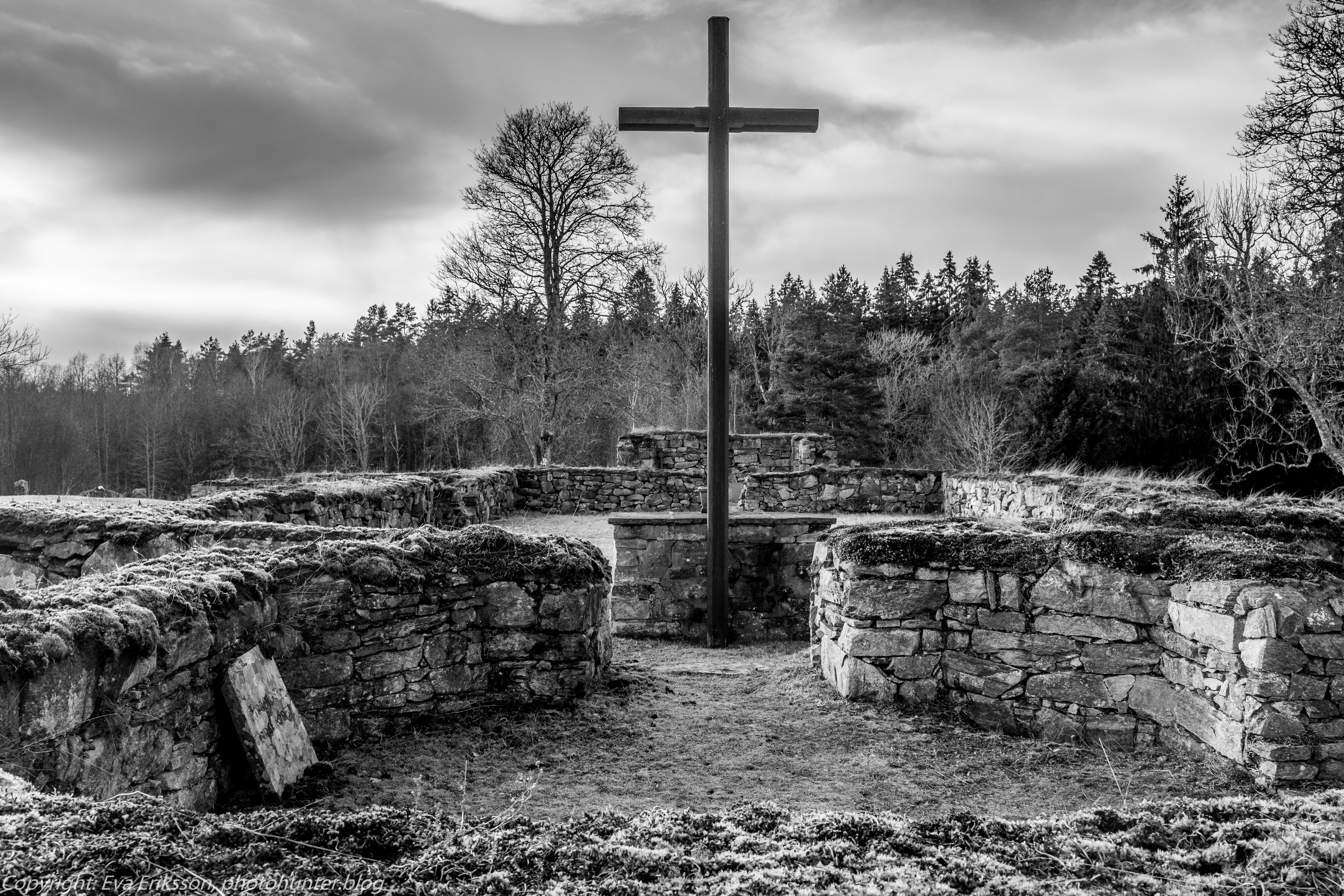 12022020-12022020-_DSF2224