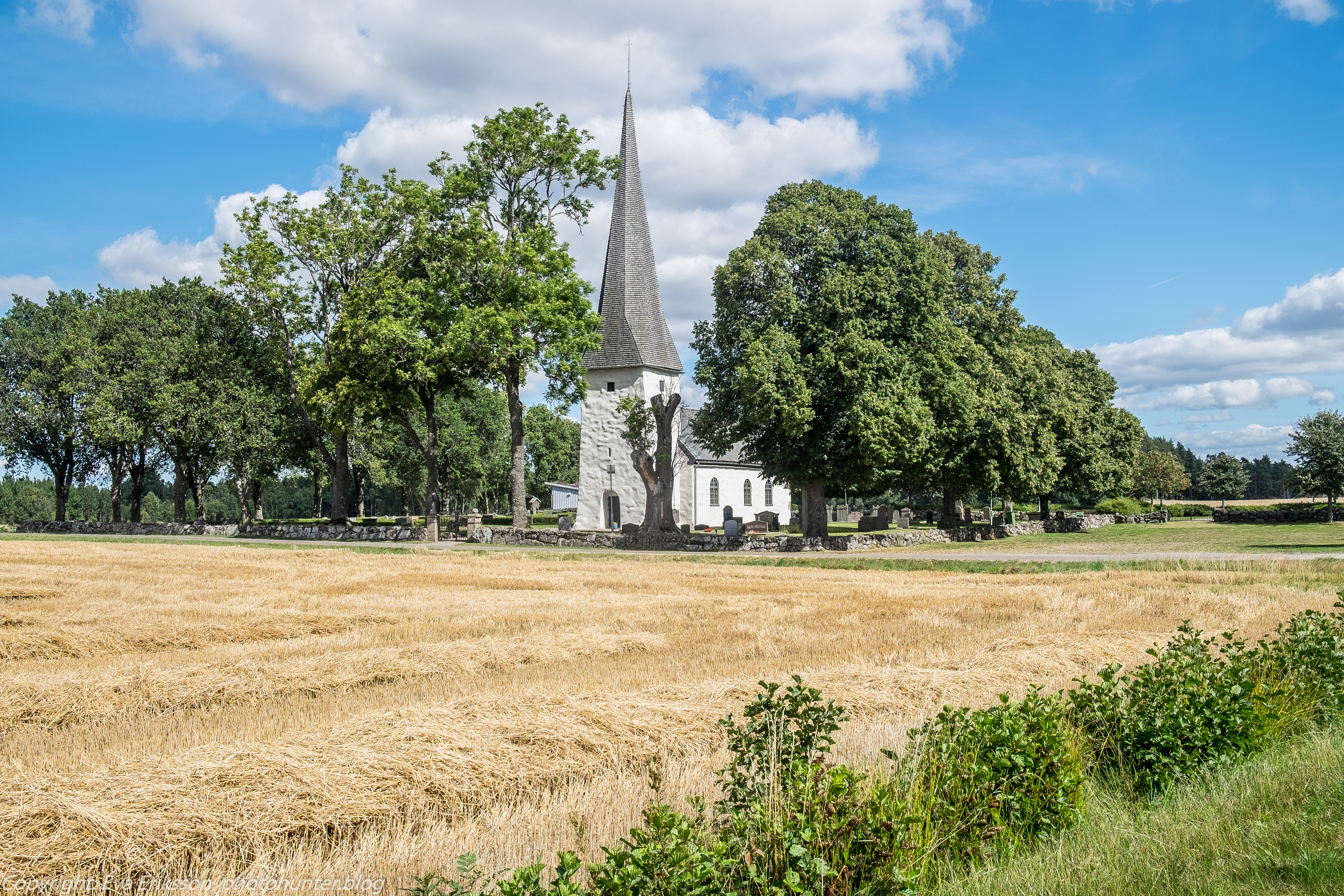 14082017-14082017-_DSF1235