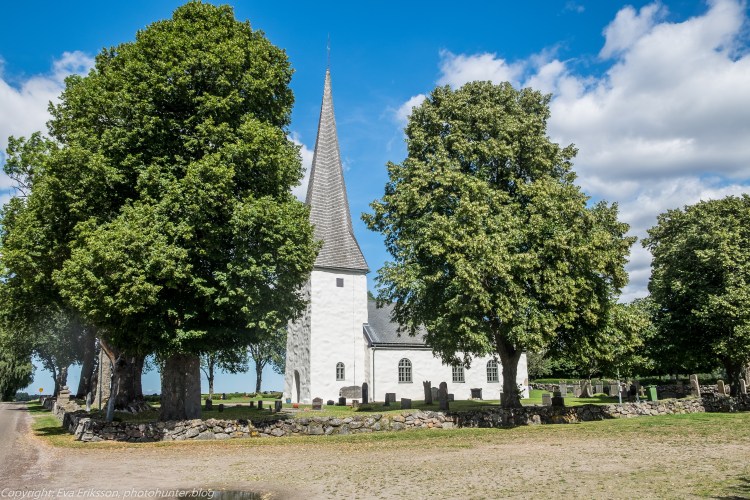 14082017-14082017-_DSF1236