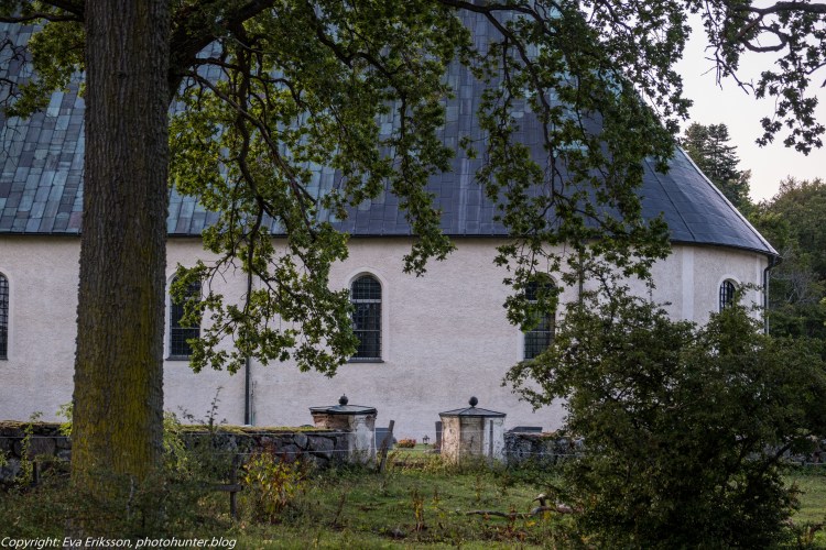 20082019-20082019-DSCF9440