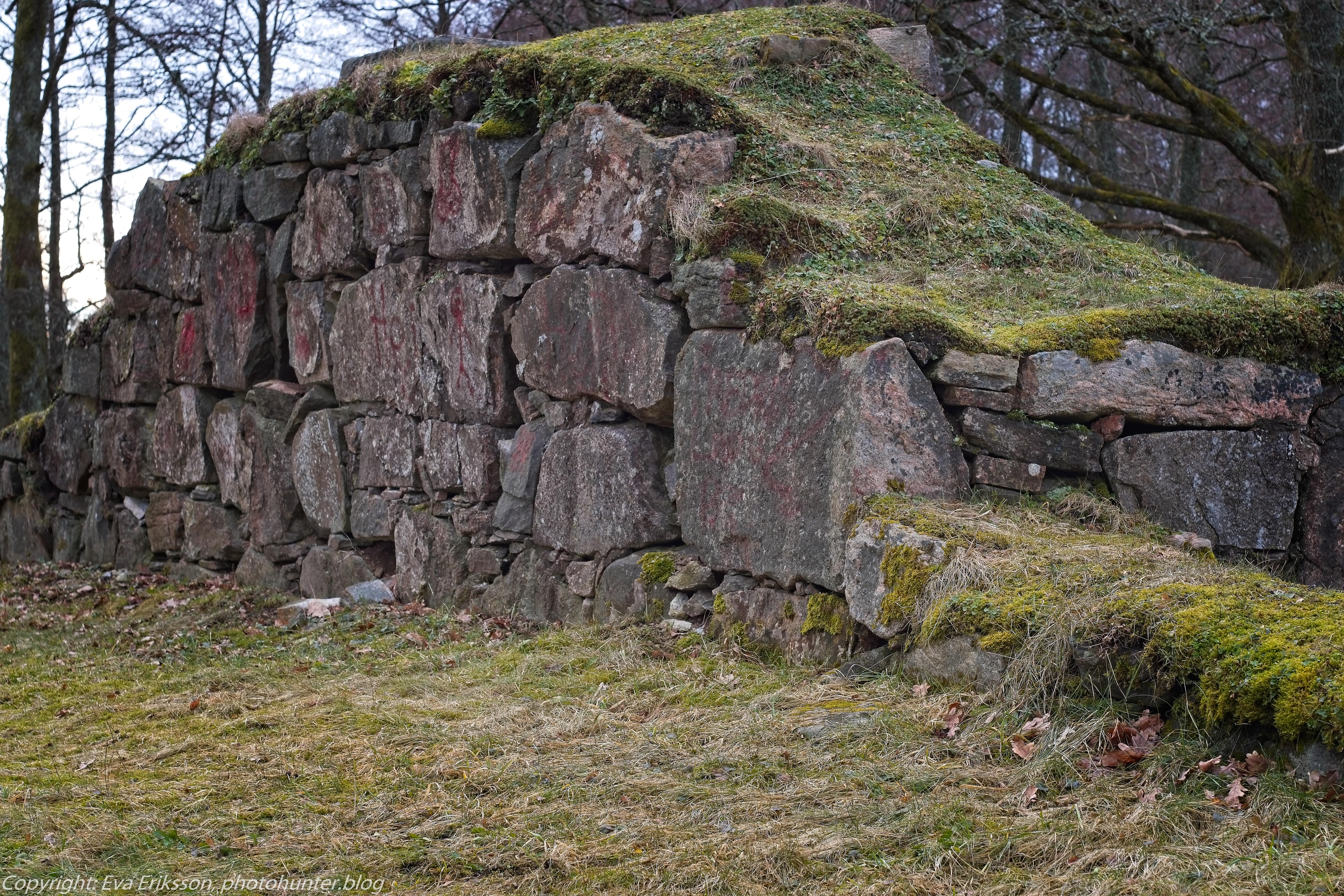 22022019-konika 50 1.7 nr3