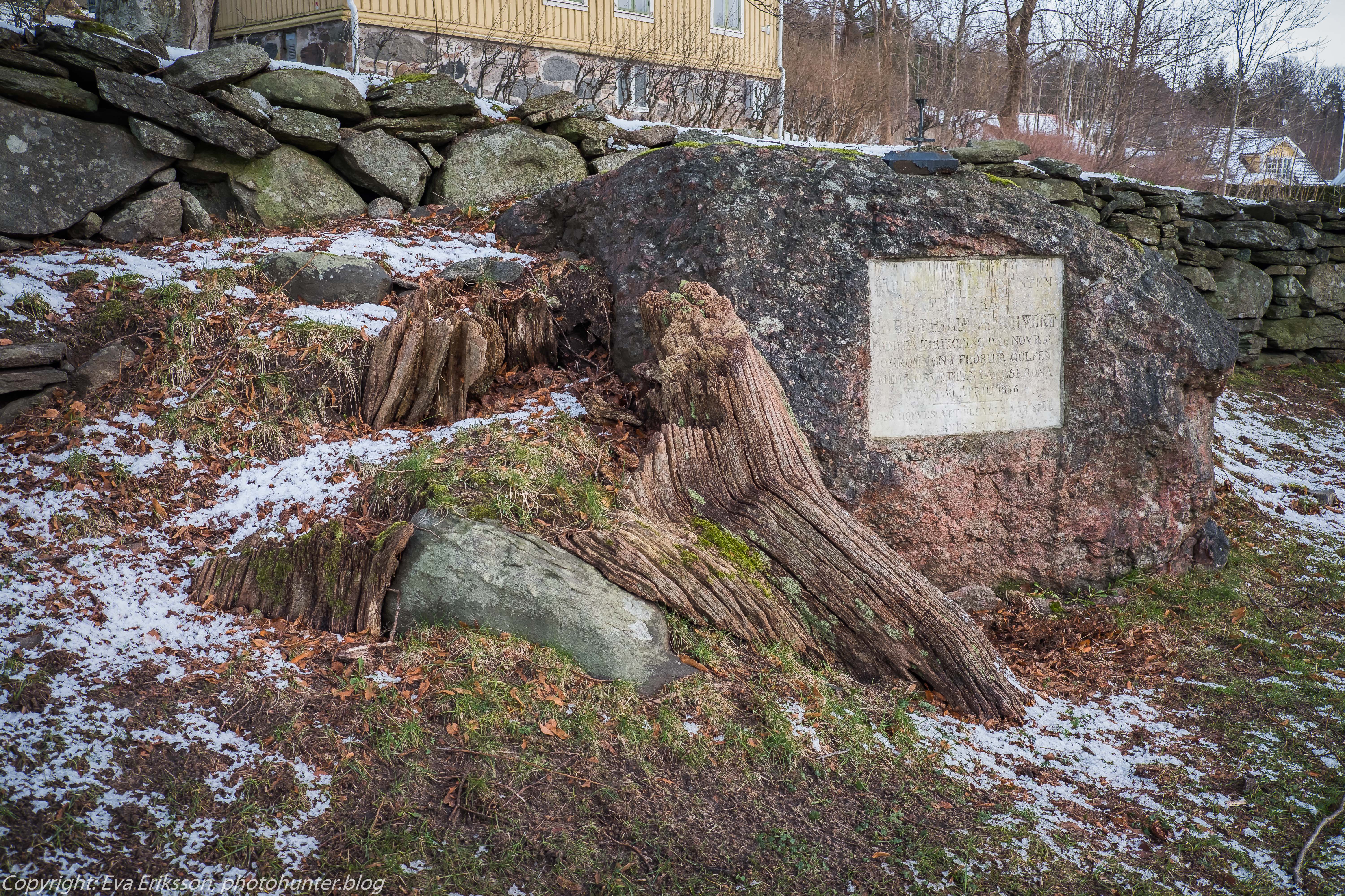 26022020-26022020-_DSF2477