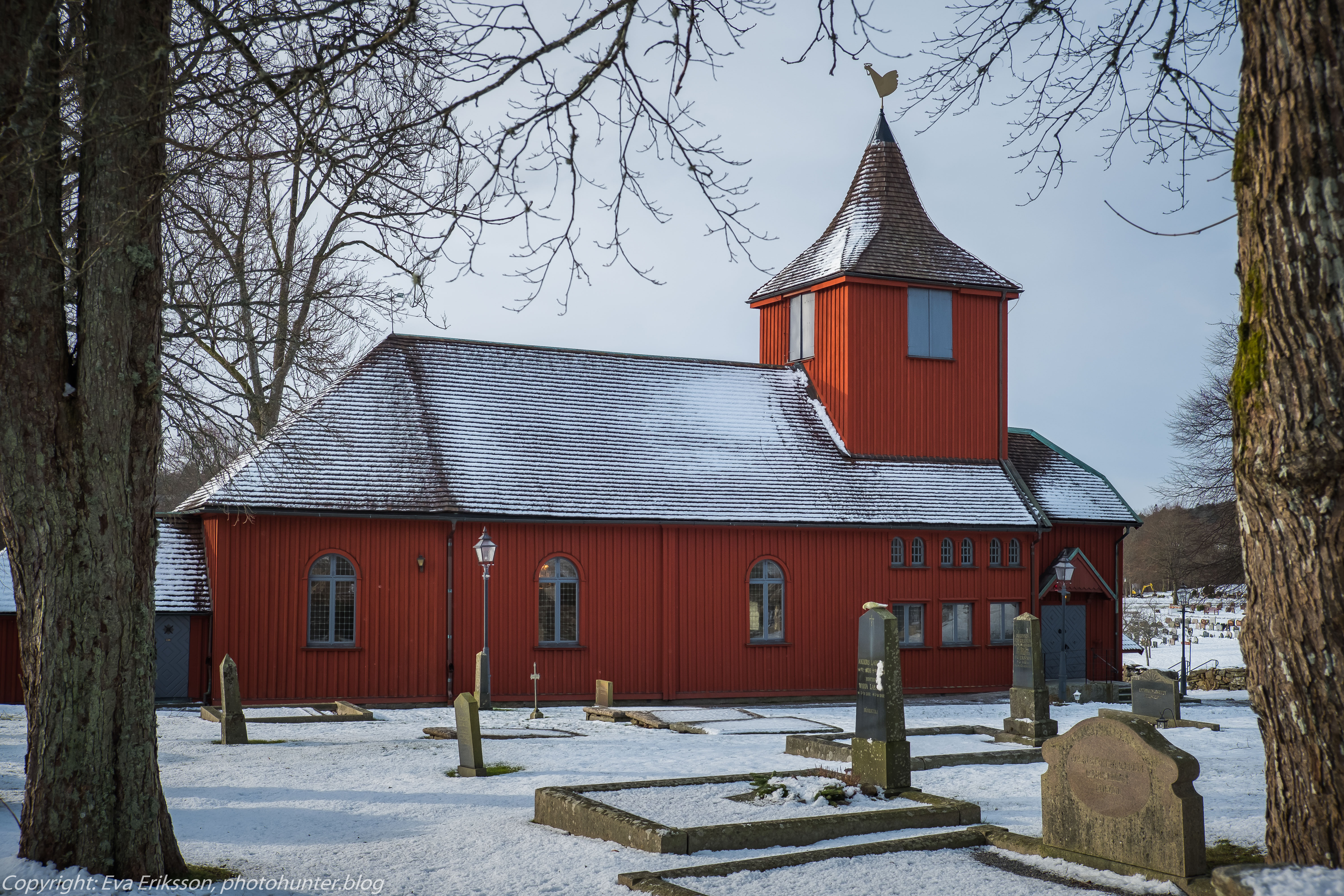 26022020-26022020-_DSF2496