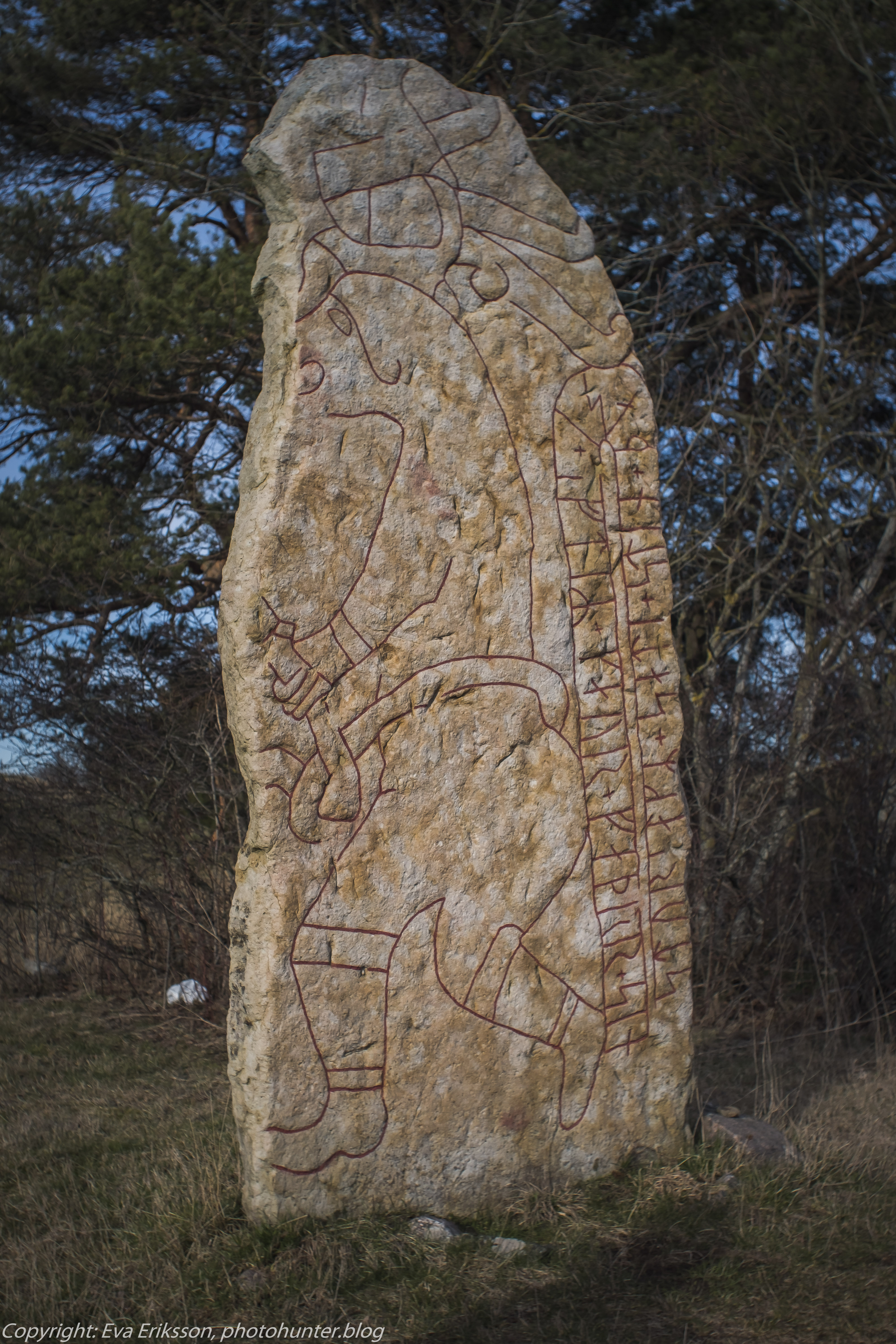 06032020-Mamiya 28 2.8-3