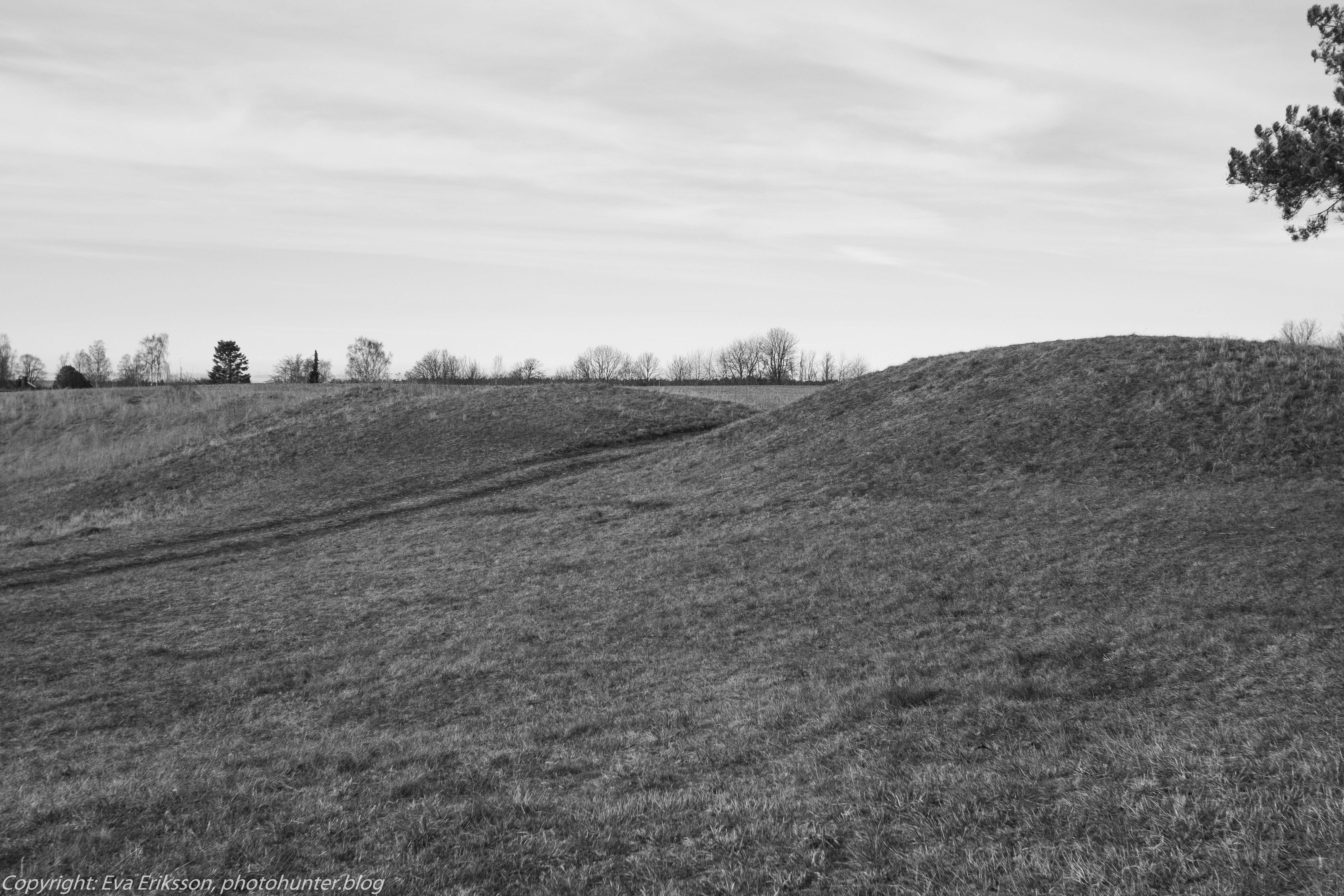 06032020-Mamiya 28 2.8-6