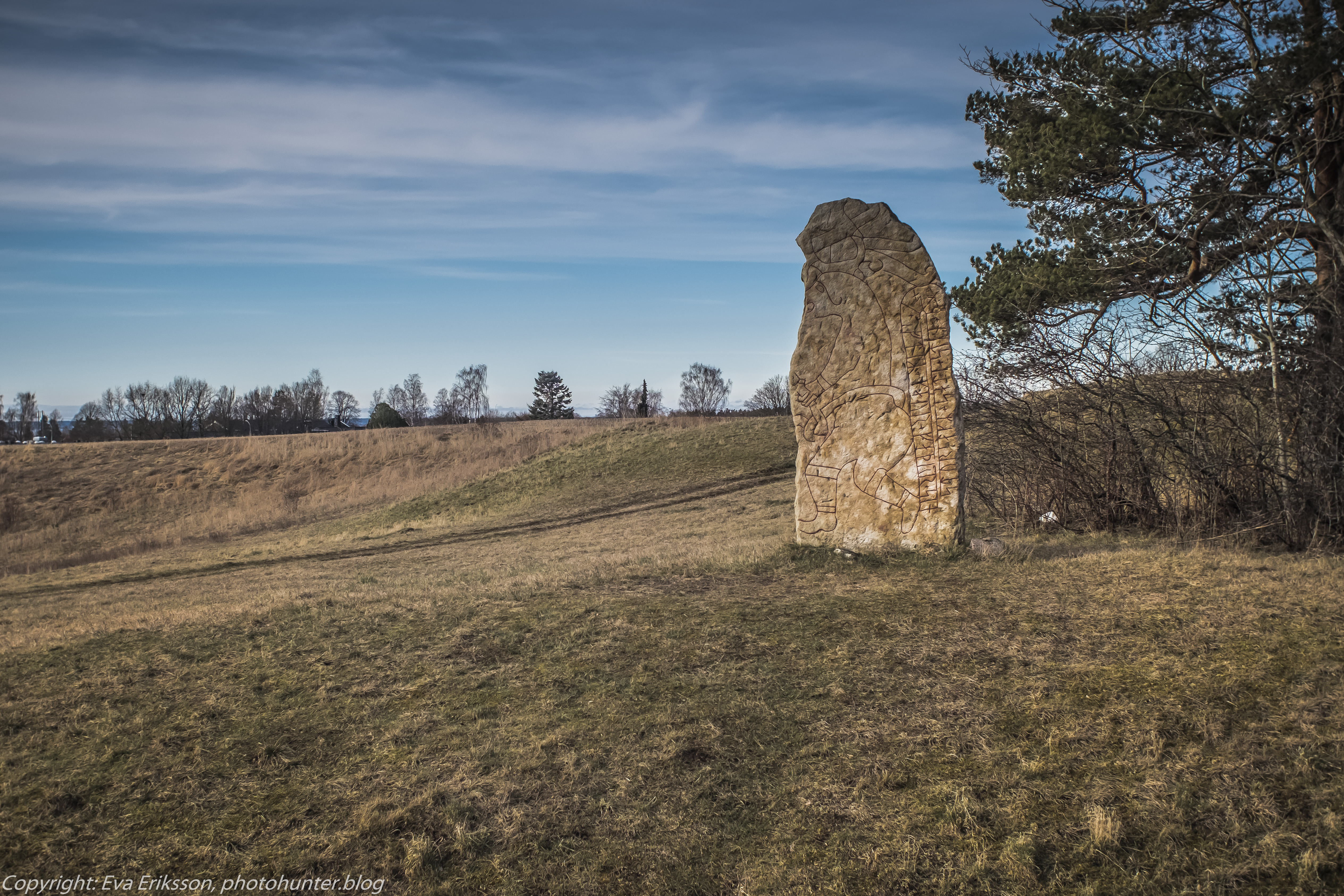 06032020-Mamiya 28 2.8-9