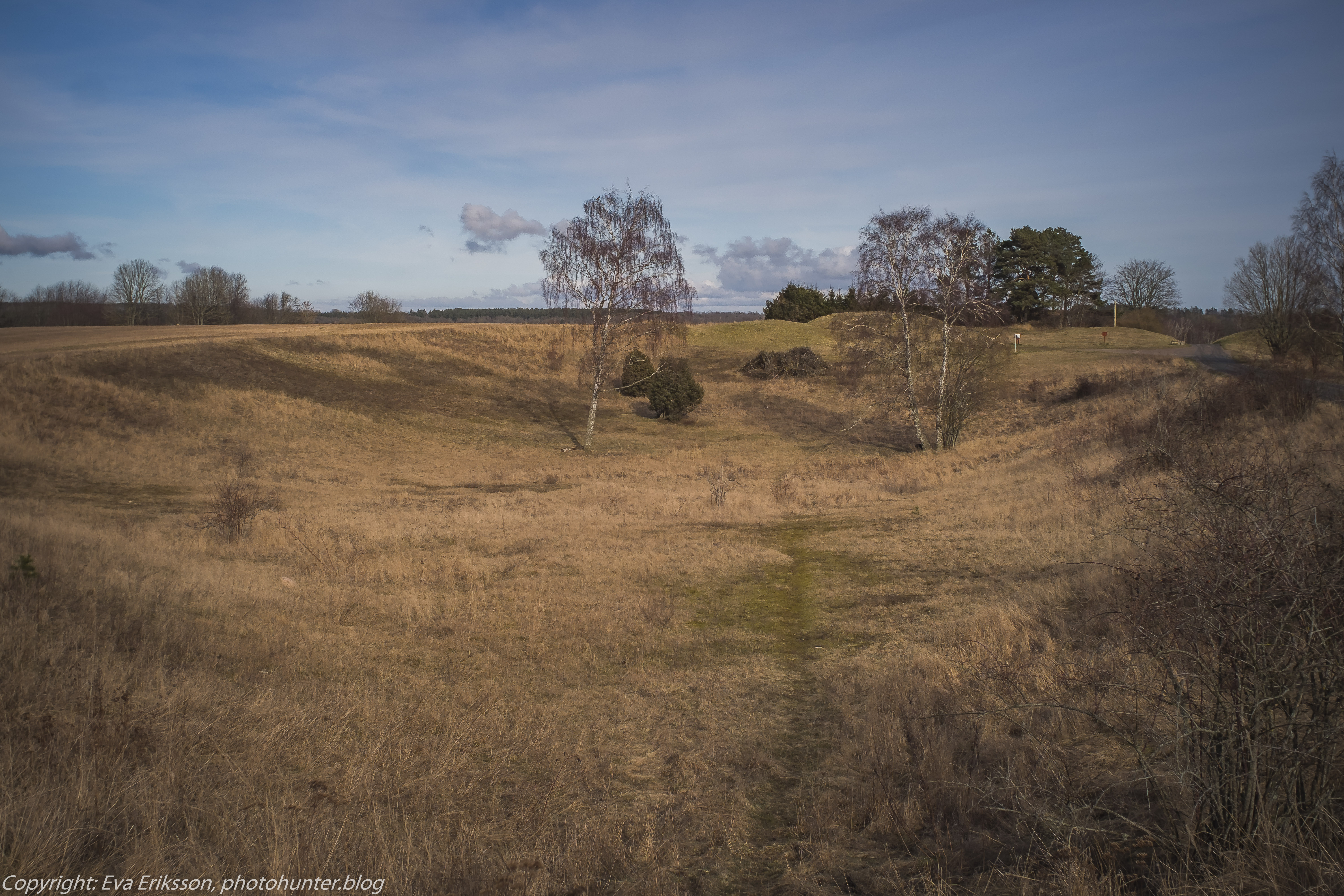 06032020-Mamiya 28 2.8