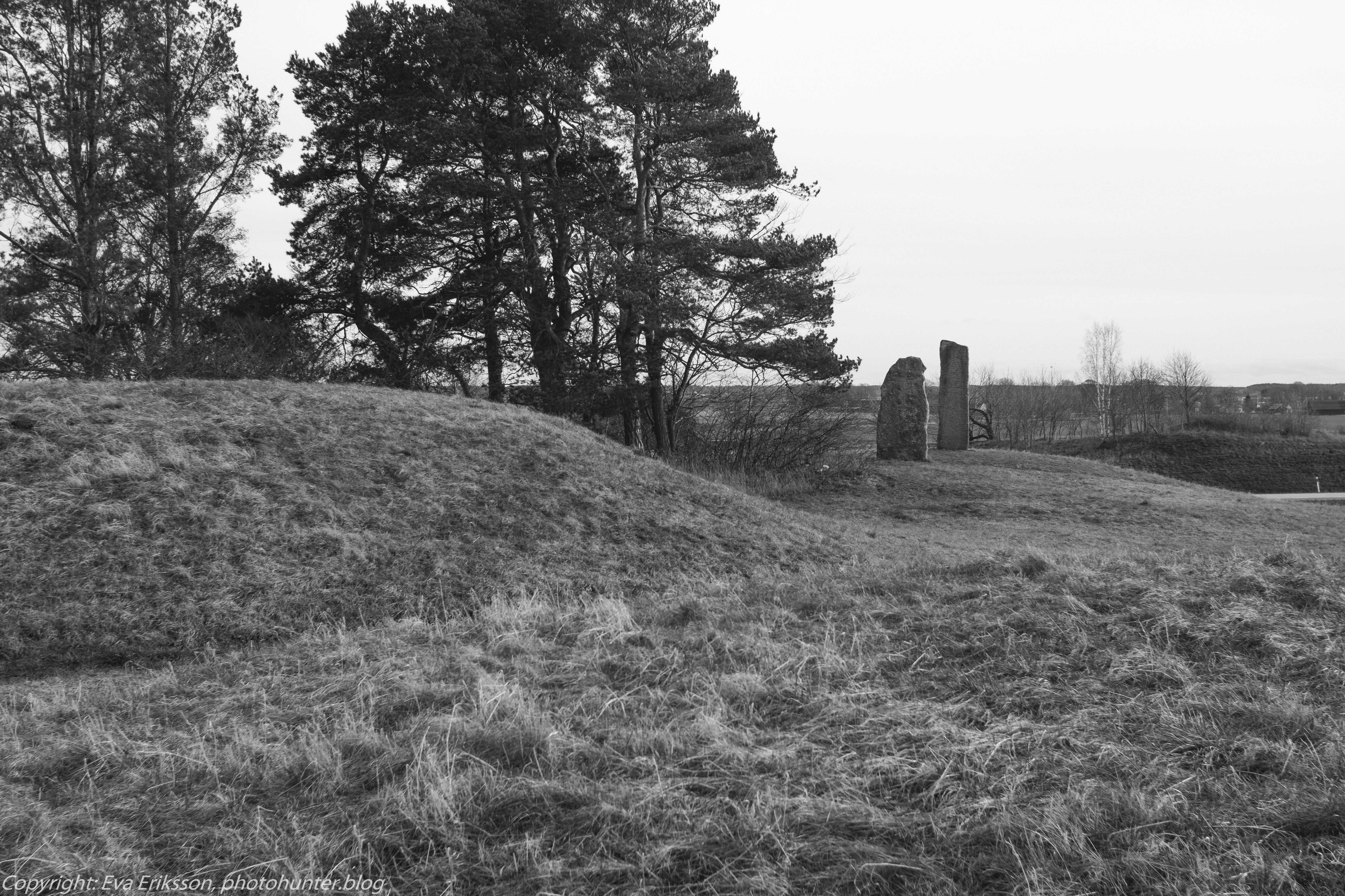 06032020-rikenon 50mm 1.7-2