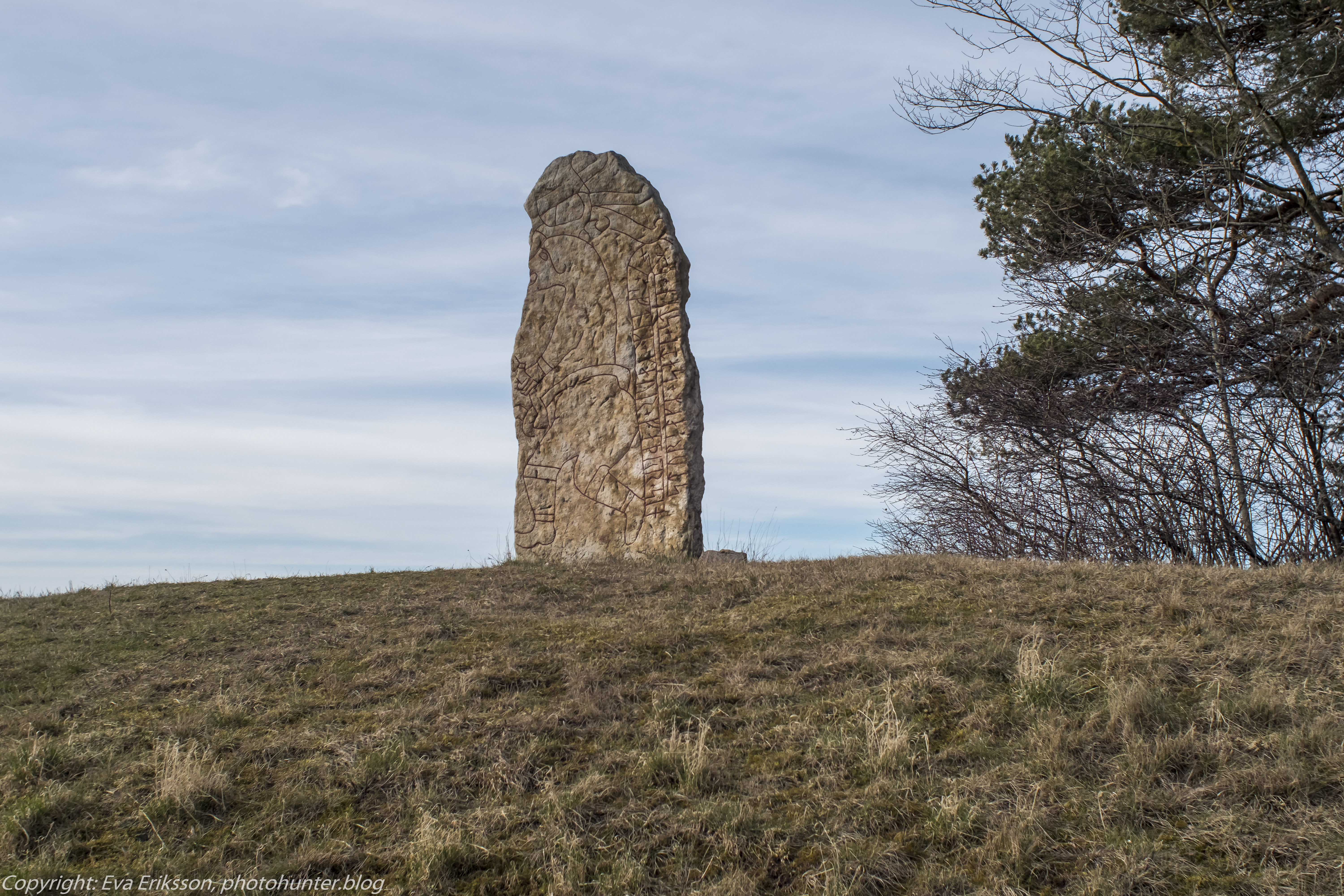 06032020-rikenon 50mm 1.7-4