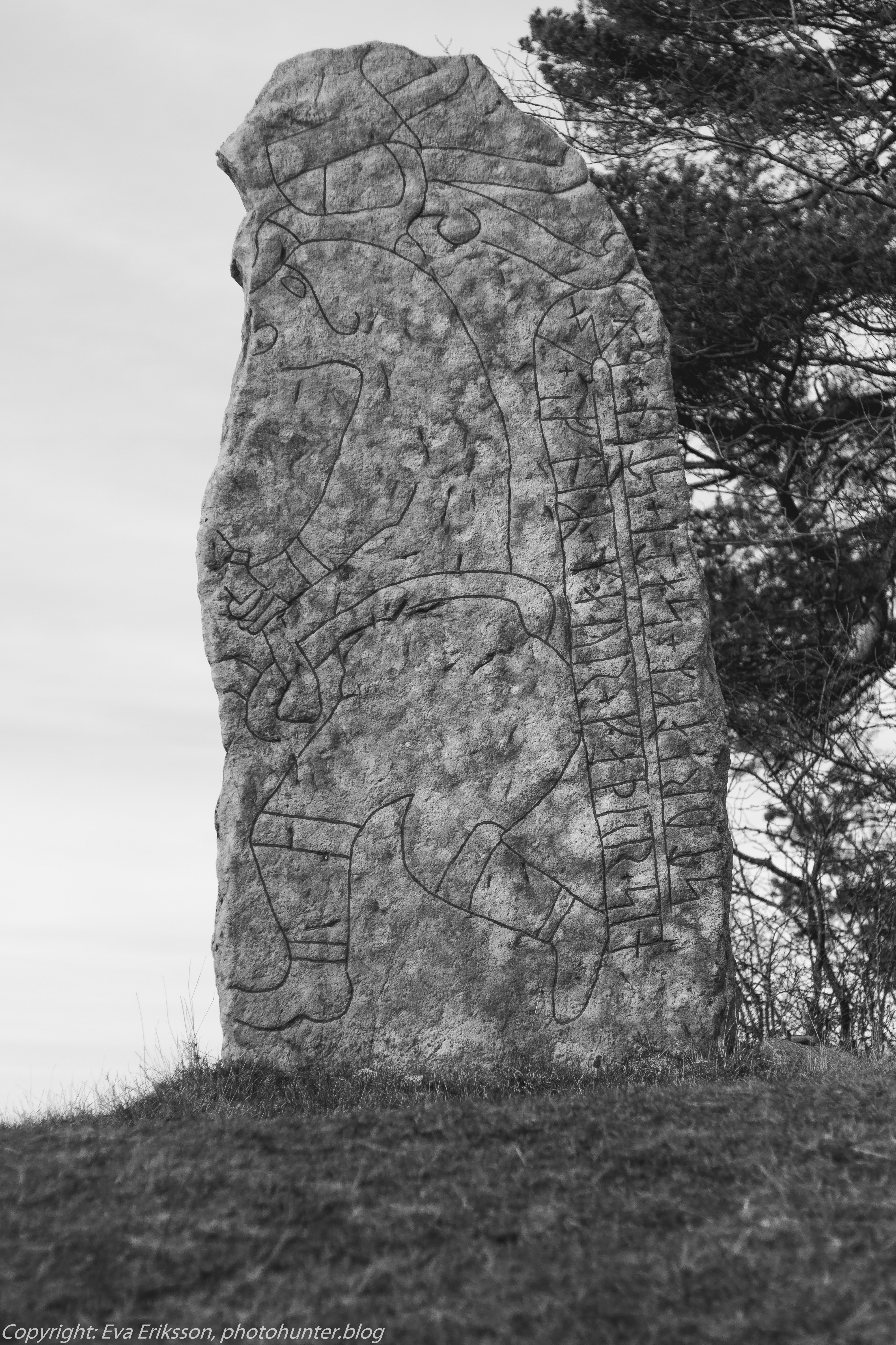 06032020-rikenon 50mm 1.7-5