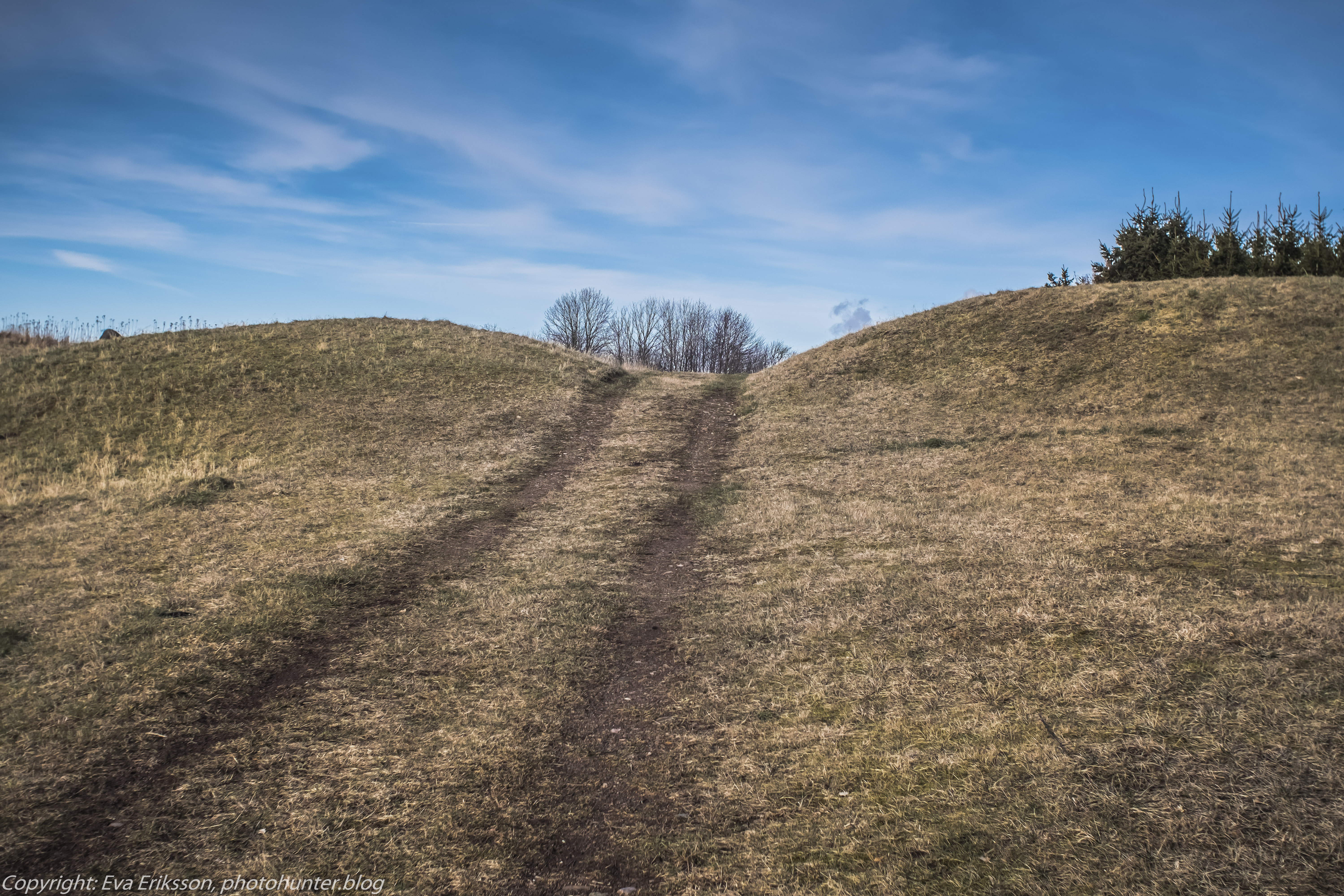 06032020-rikenon 50mm 1.7