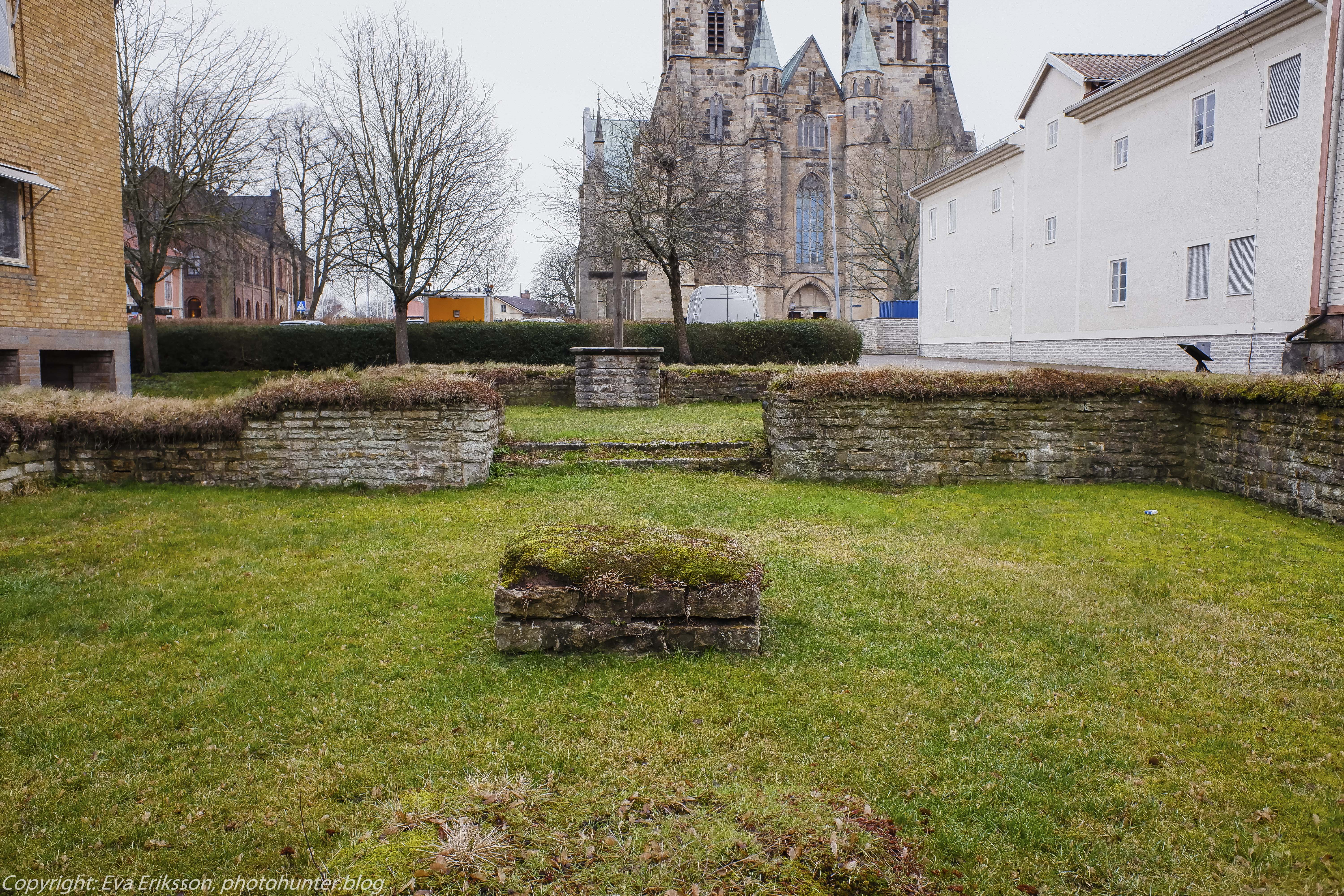 08022020-08022020-_DSF0406