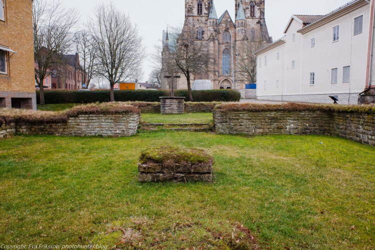 08022020-08022020-_DSF0406