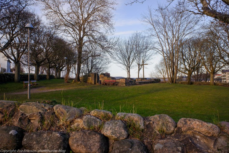 22032020-22032020-_DSF0493