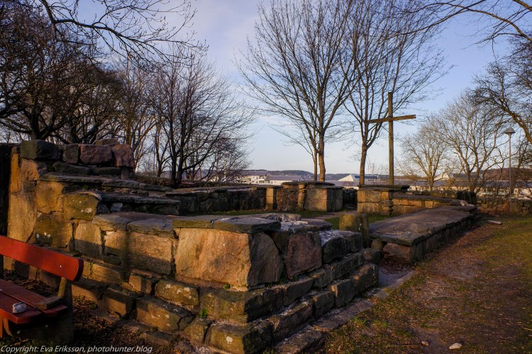 22032020-22032020-_DSF0494