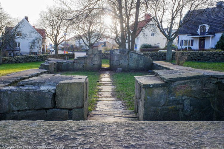 22032020-22032020-_DSF0497