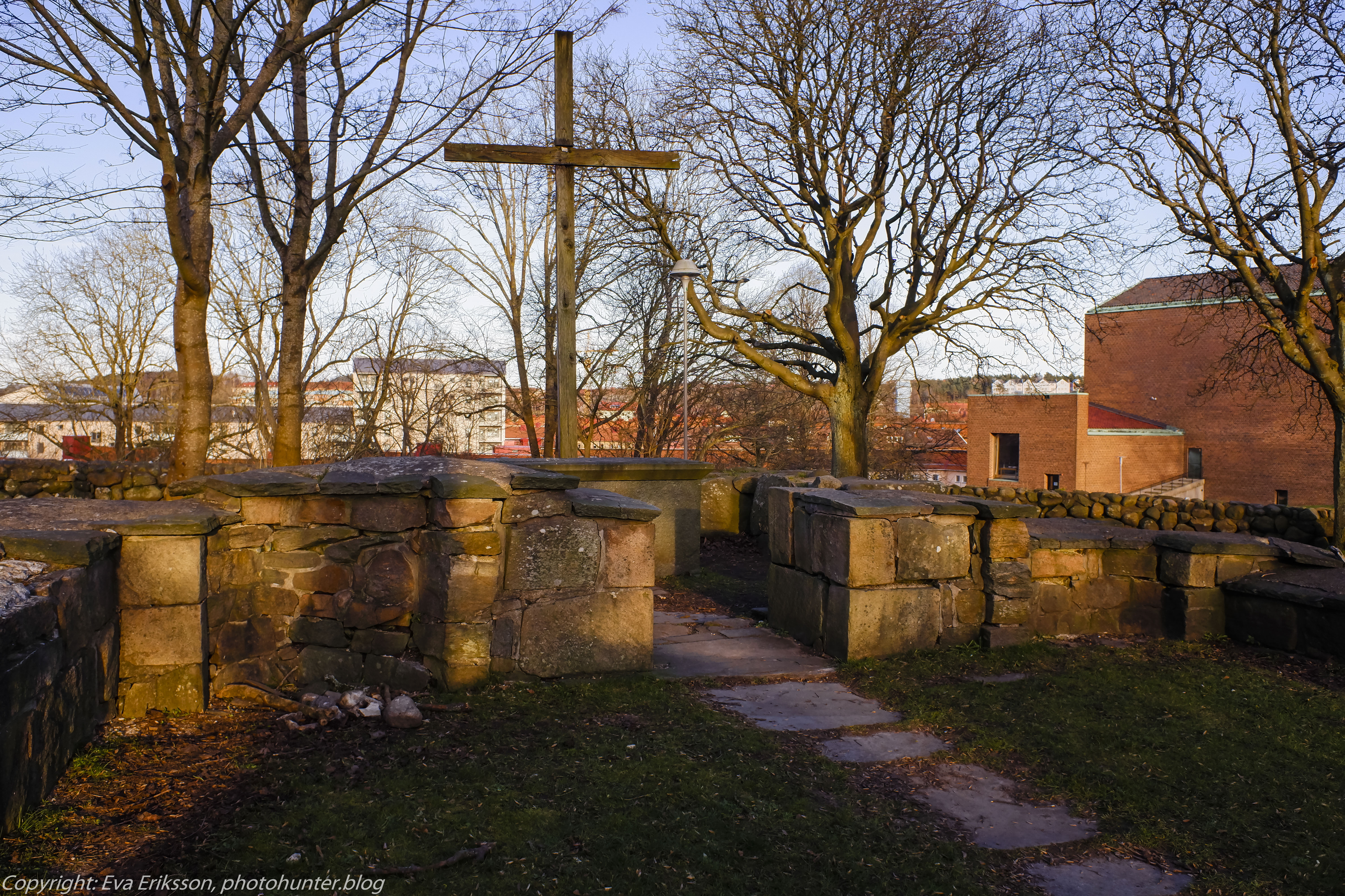 22032020-22032020-_DSF0501