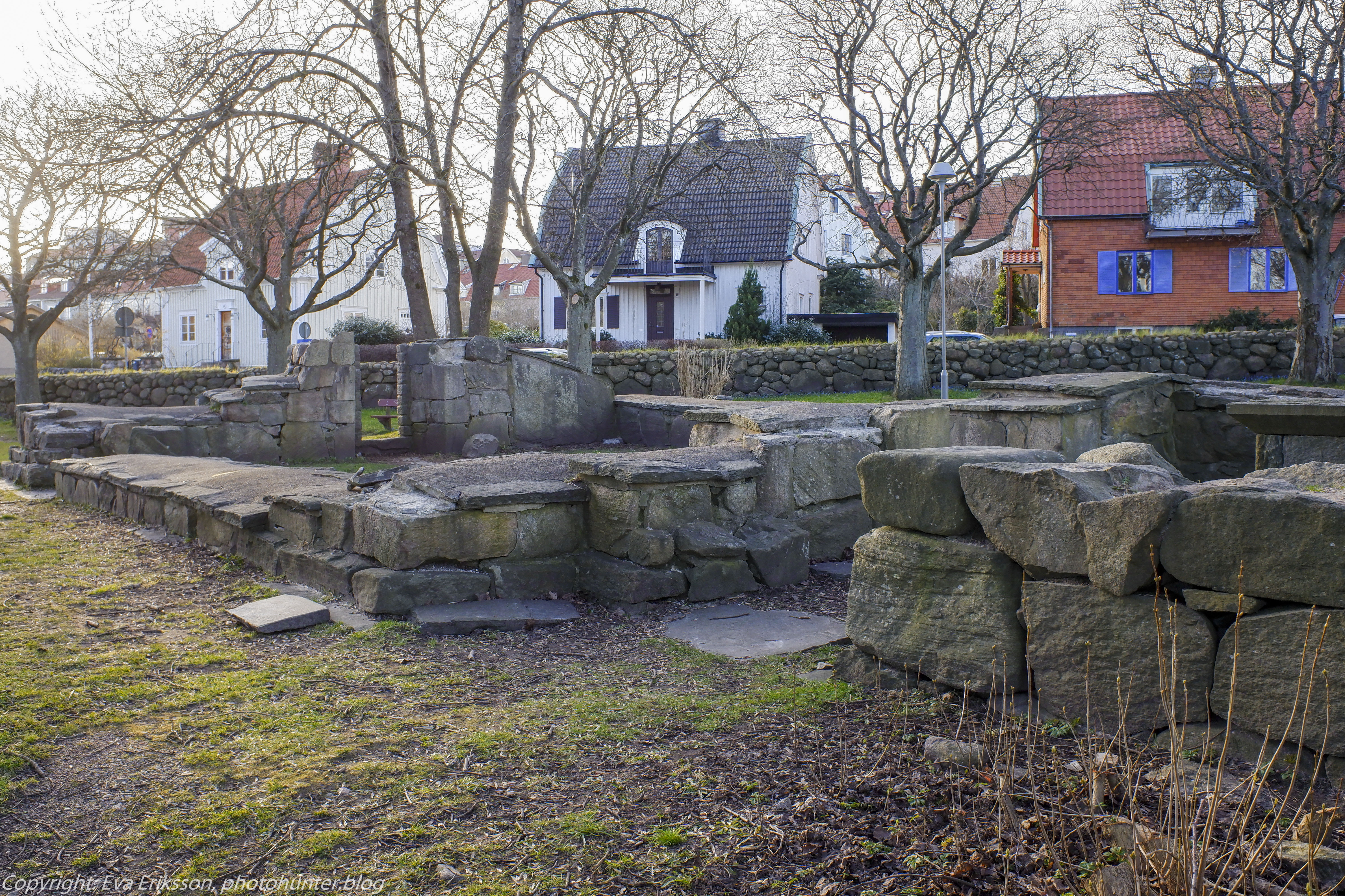 22032020-22032020-_DSF0503