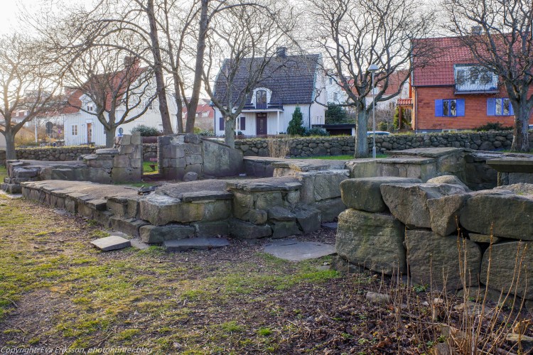 22032020-22032020-_DSF0503